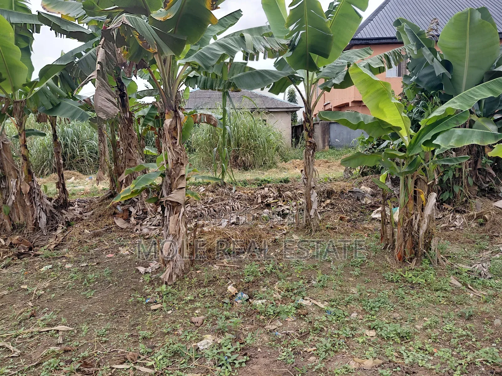 A Plot of Land Opp Adenxon Iguando by Value Paint Alimosho