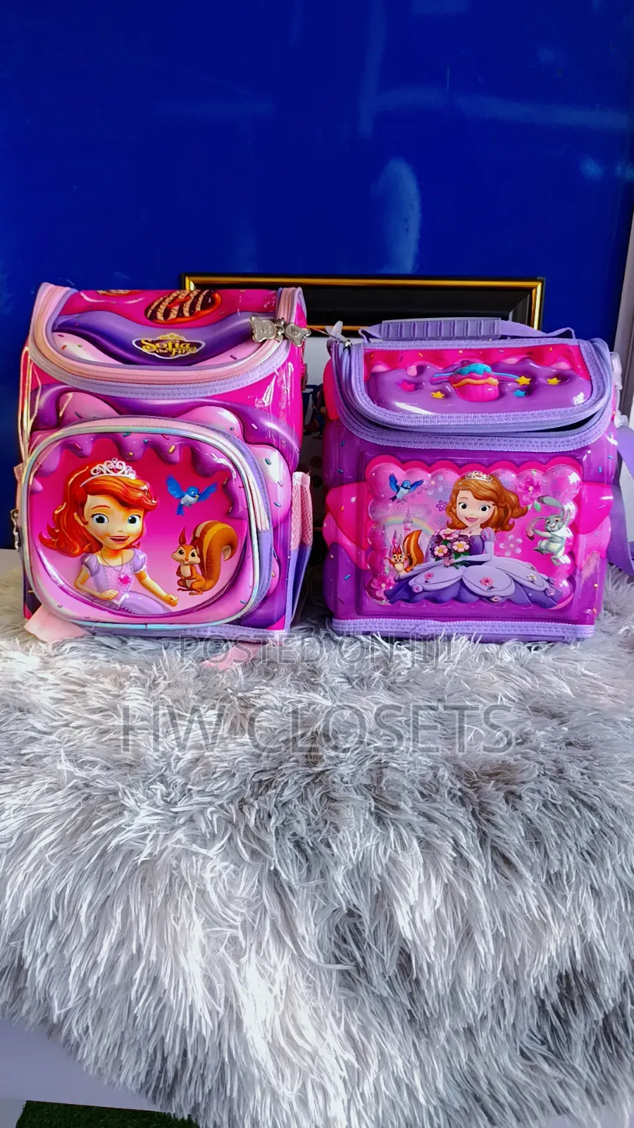 Character School Bag Set
