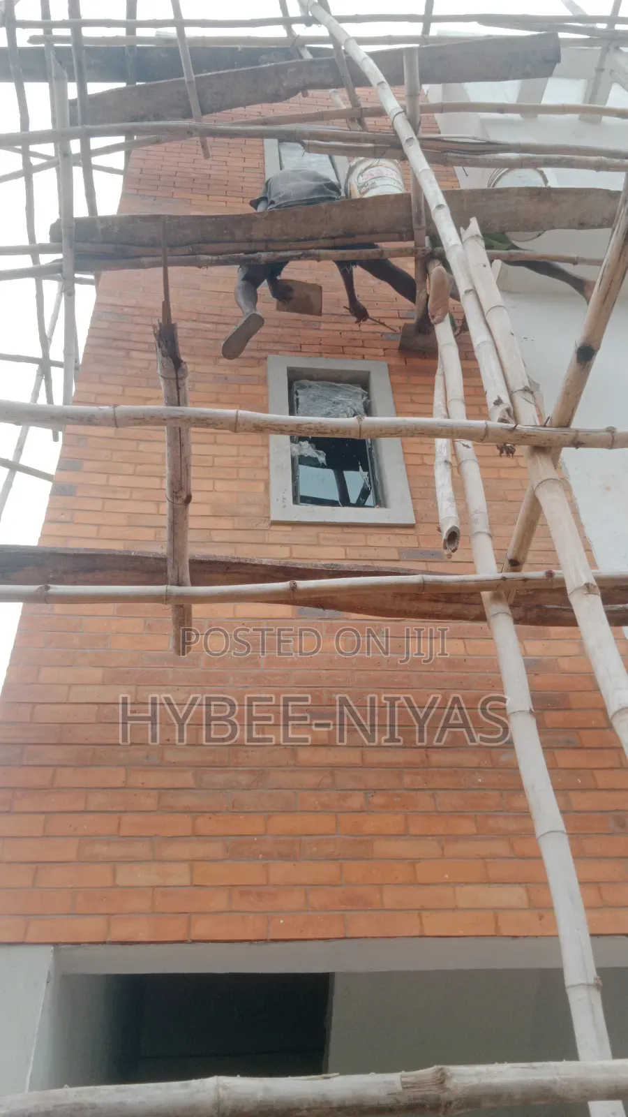 Laying of South African Breaks