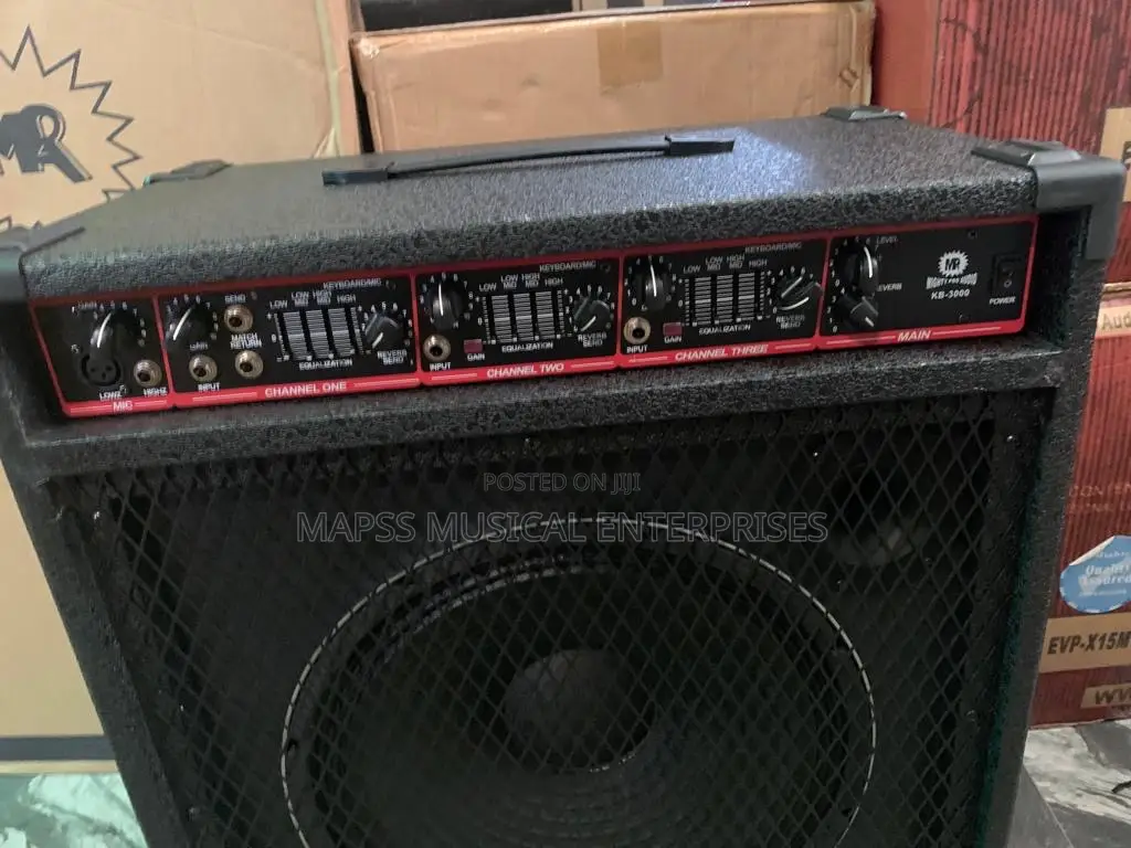 Mighty Pro Audio Lead Combo Speaker.