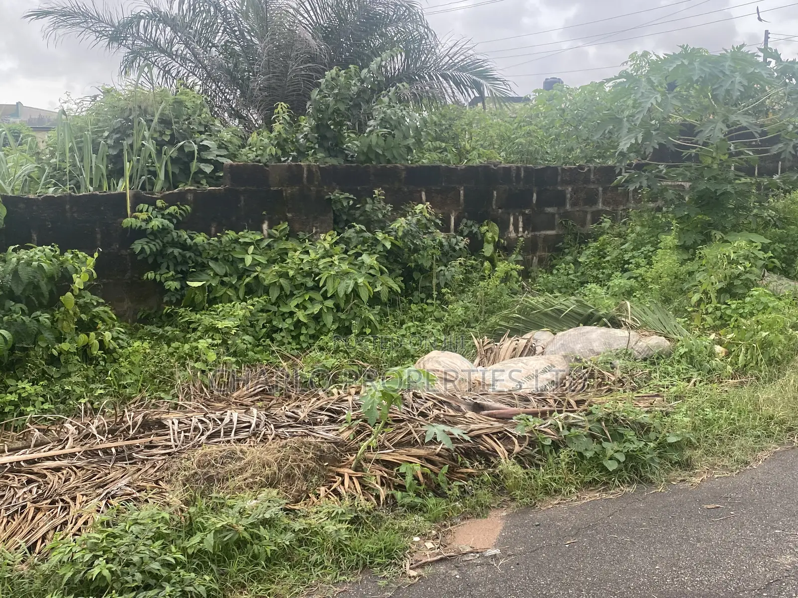 Genuine 100ft by 100ft With C of O in Etete Layout for Sale