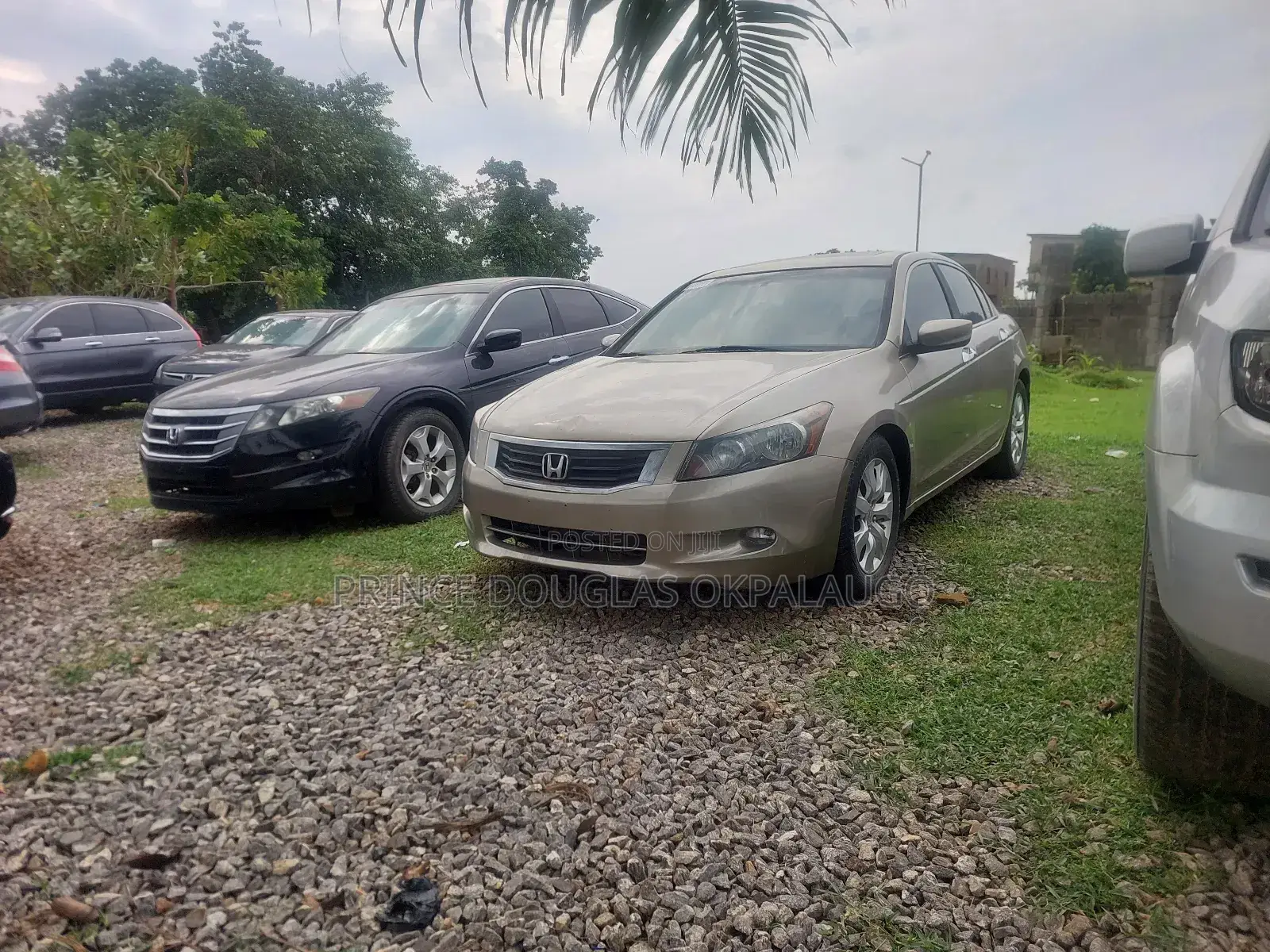 Honda Accord Sedan EX-L V6 Automatic 2009 Gold