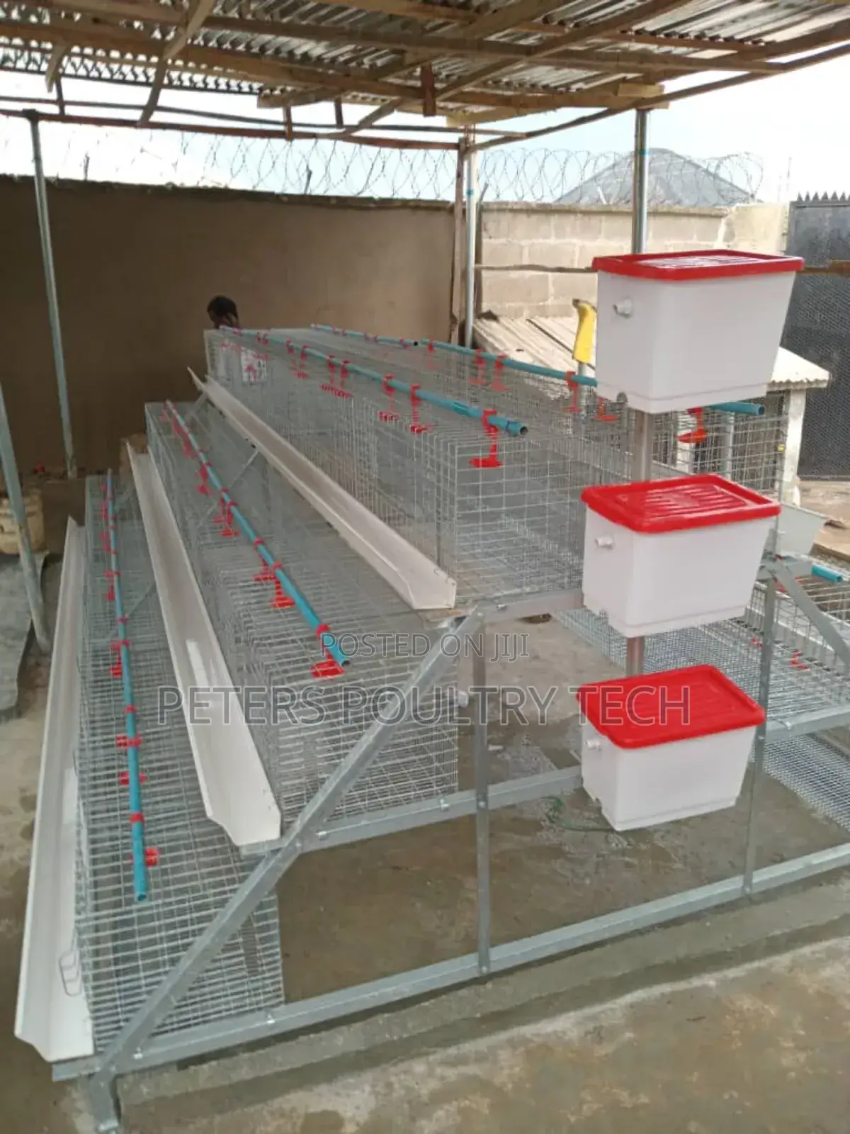 Poultry Battery Cage