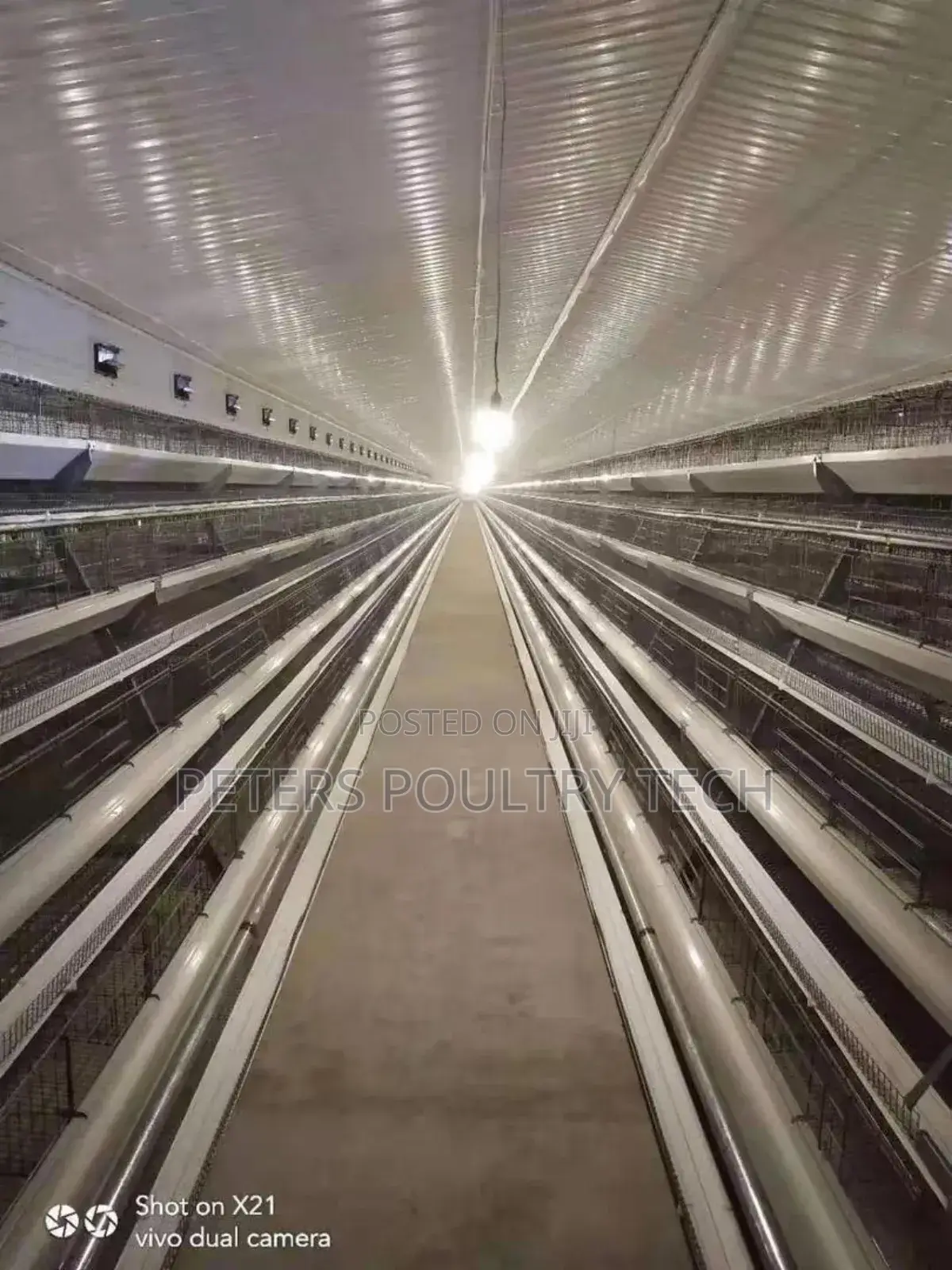 Poultry Battery Cage