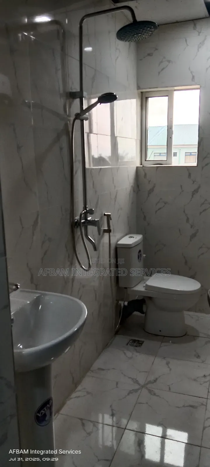 Professional Plumbing Services