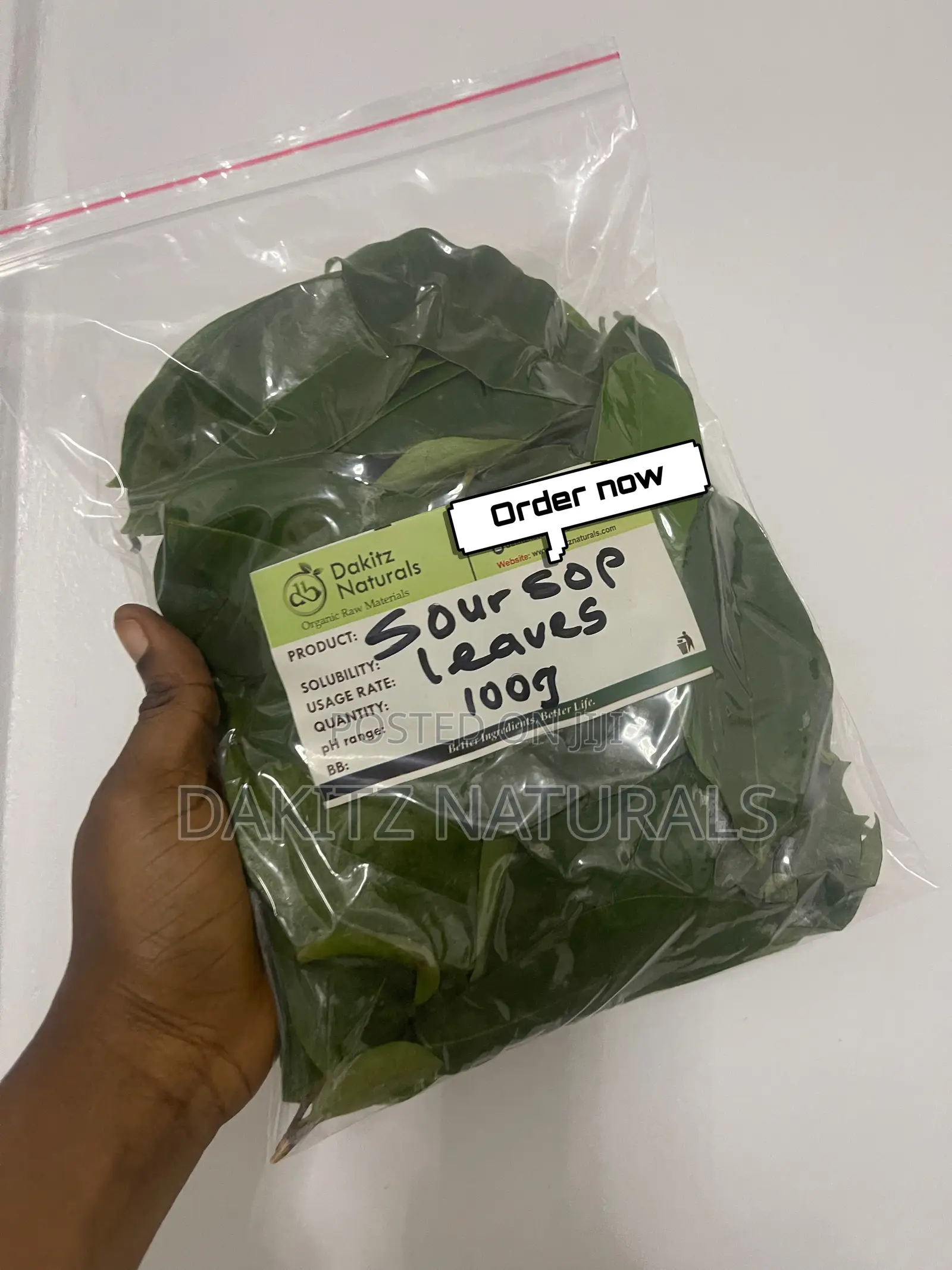 Soursop Leaves 100g (100+ Fresh Soursop Leaves)