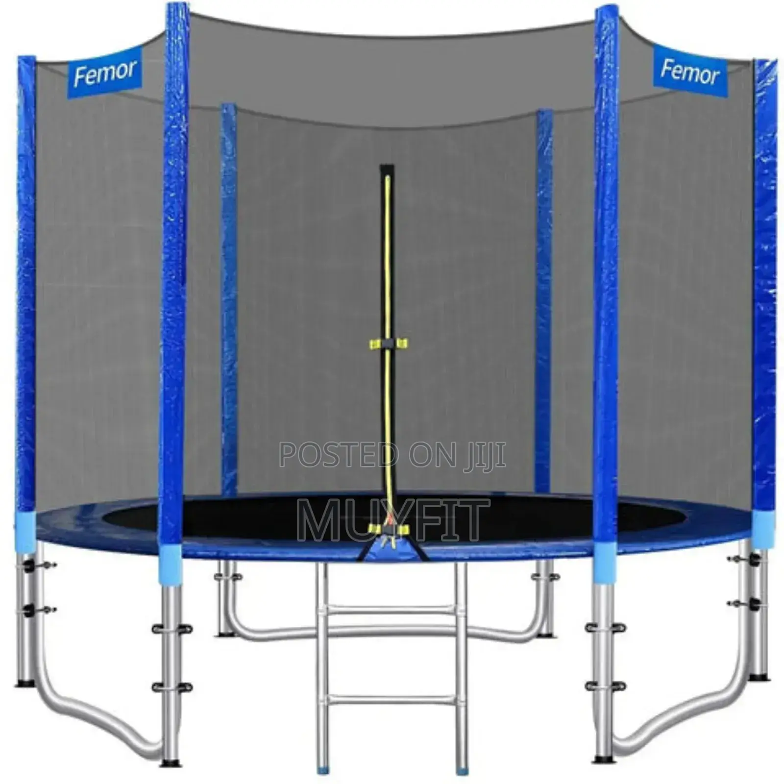 Trampoline With Ladder