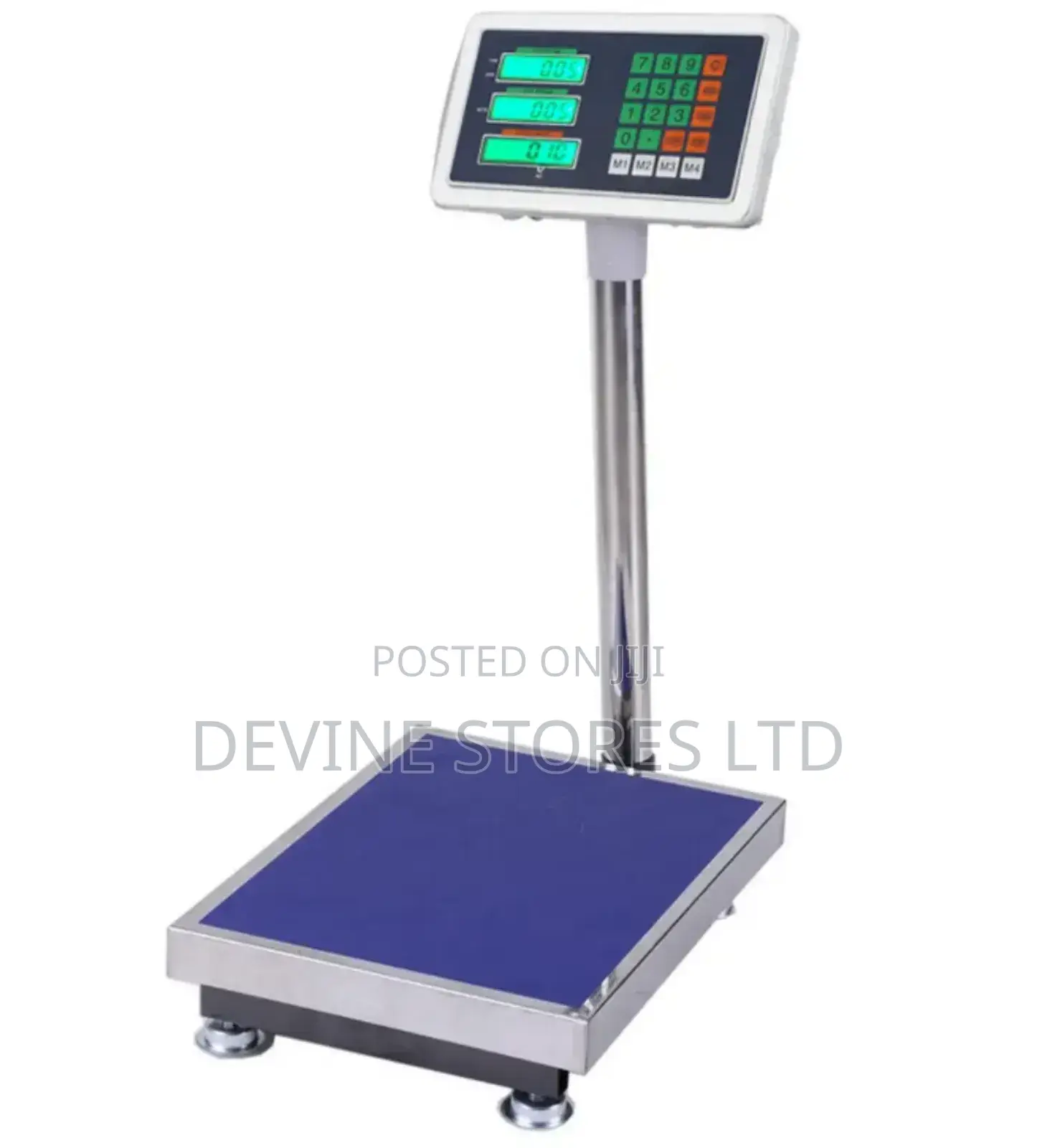 300kg Stainless Digital Weighing Scale
