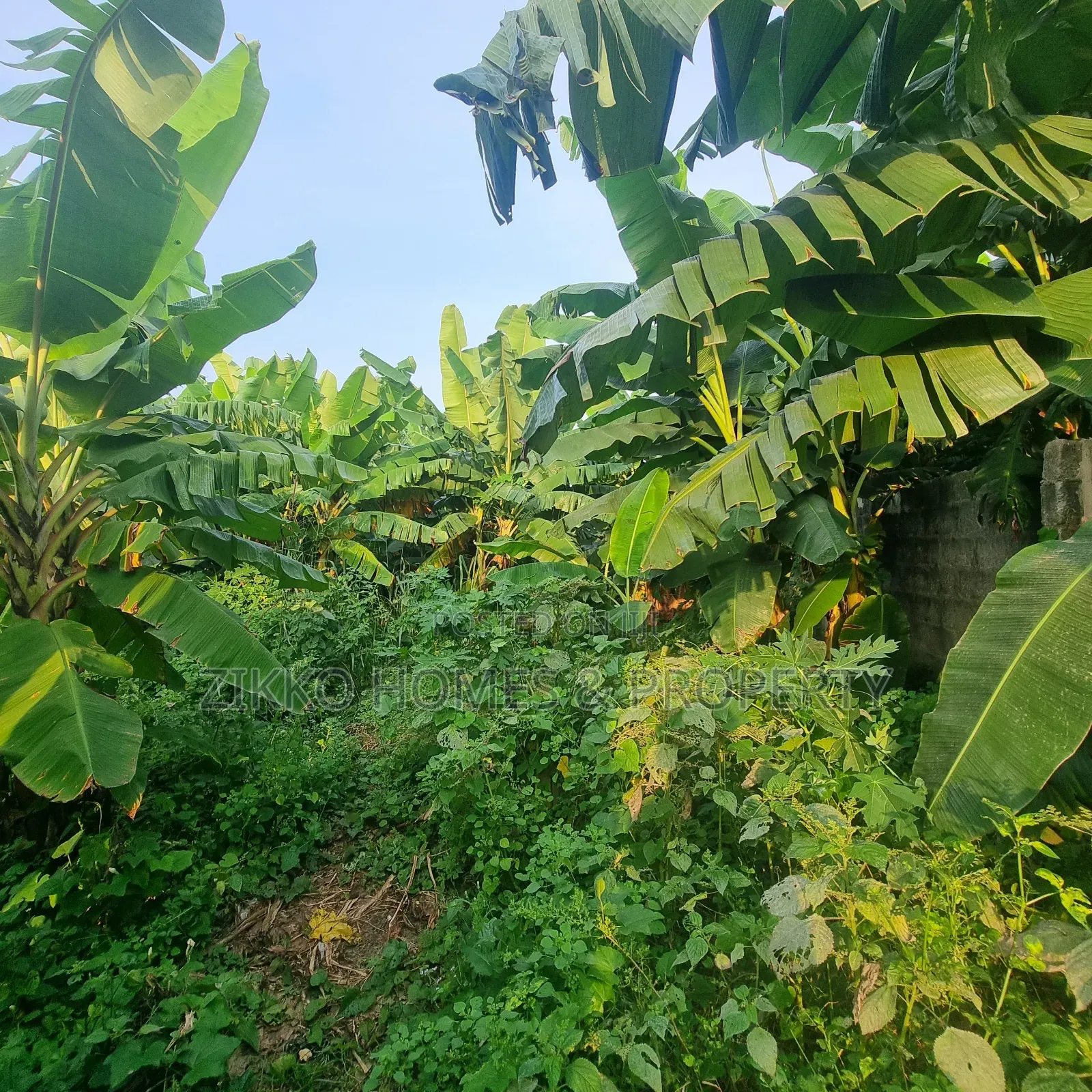 600sqm of Land for Sale at Sangotedo