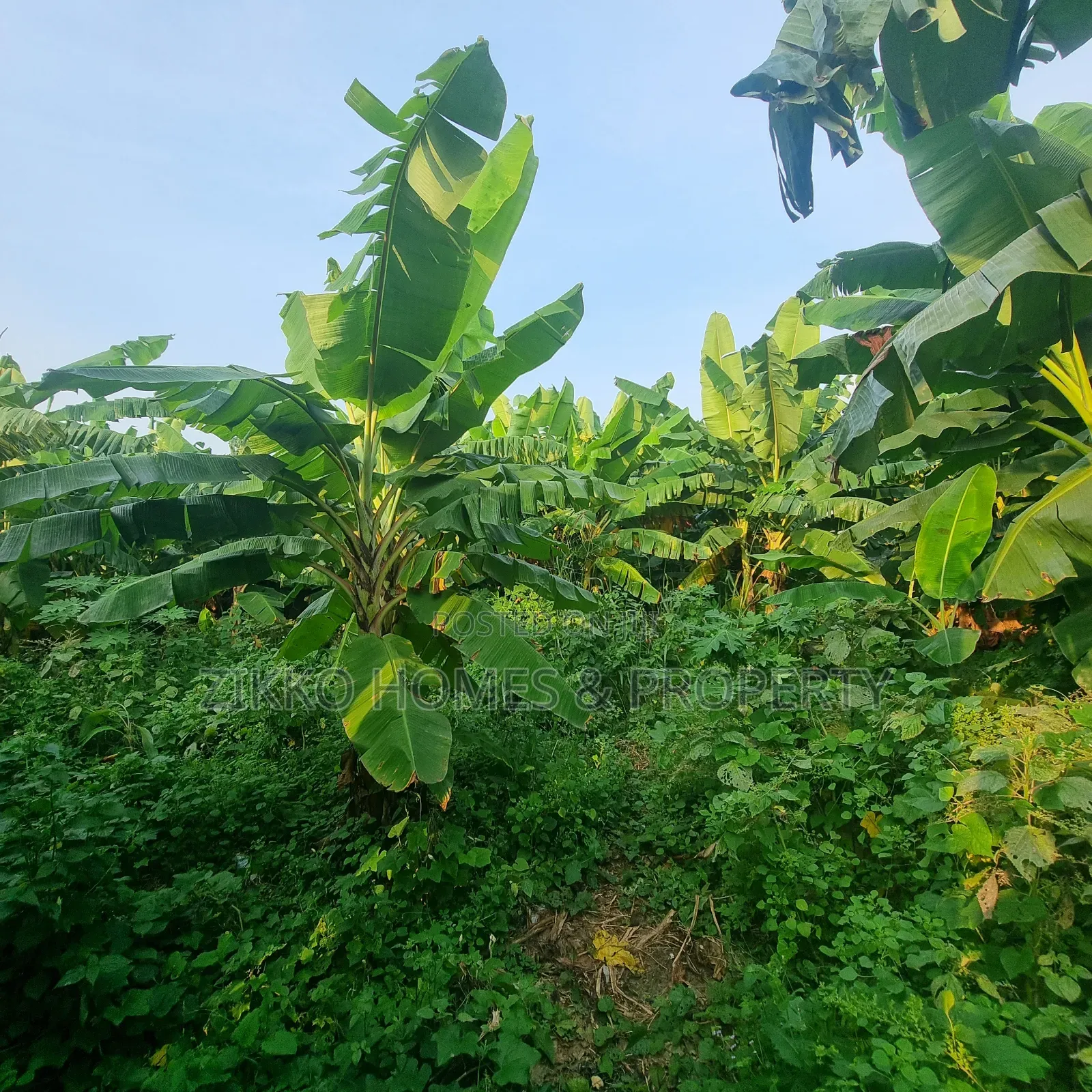 600sqm of Land for Sale at Sangotedo