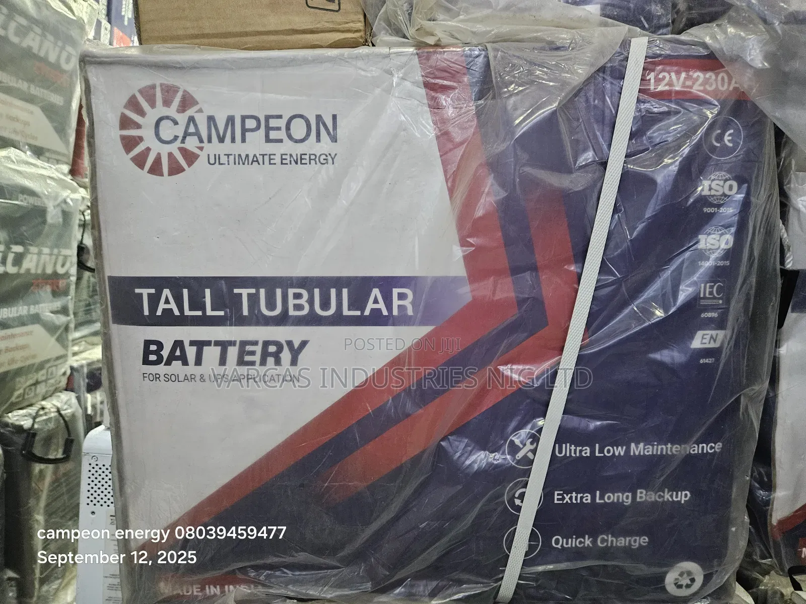 Campeon Tubular Battery