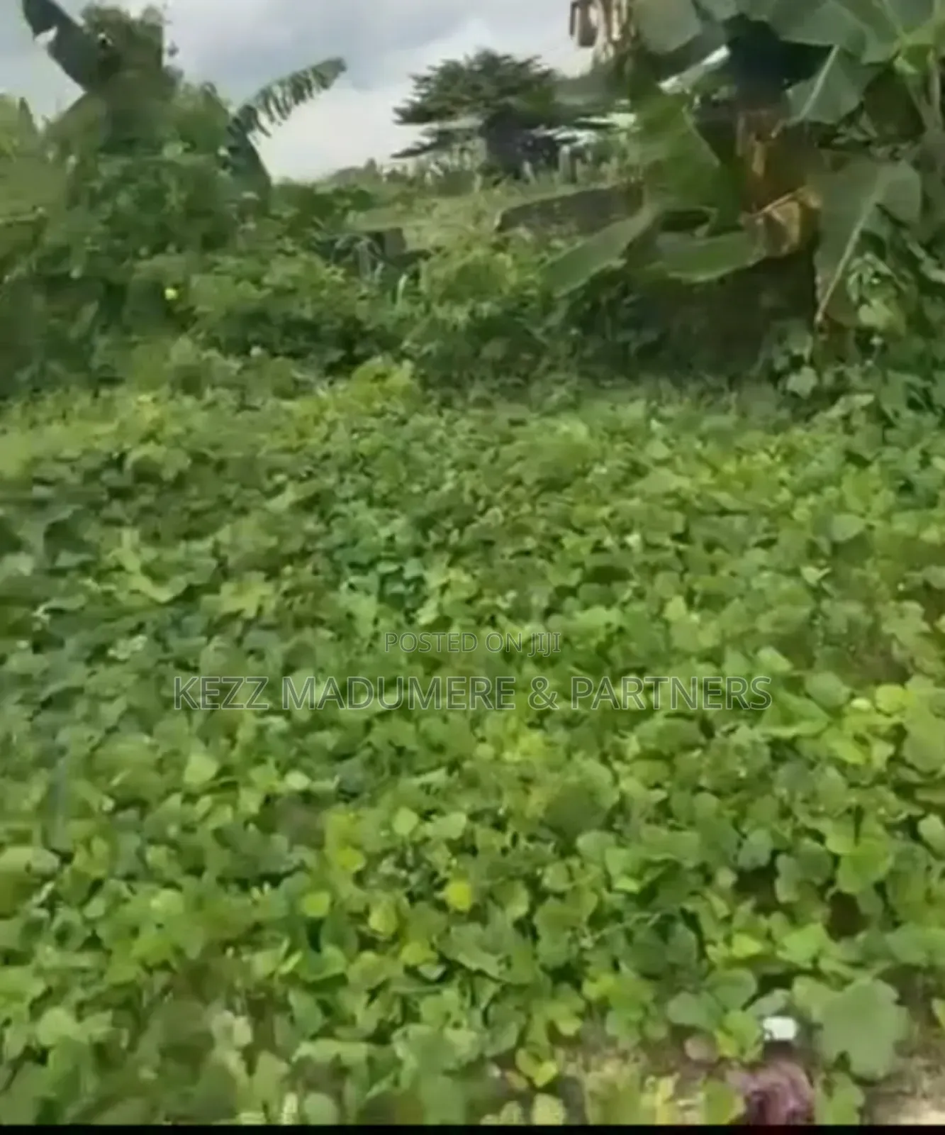 For Sale: 893 SQMTS of Land at Gra Phase 8, Eliozu Port Harcourt