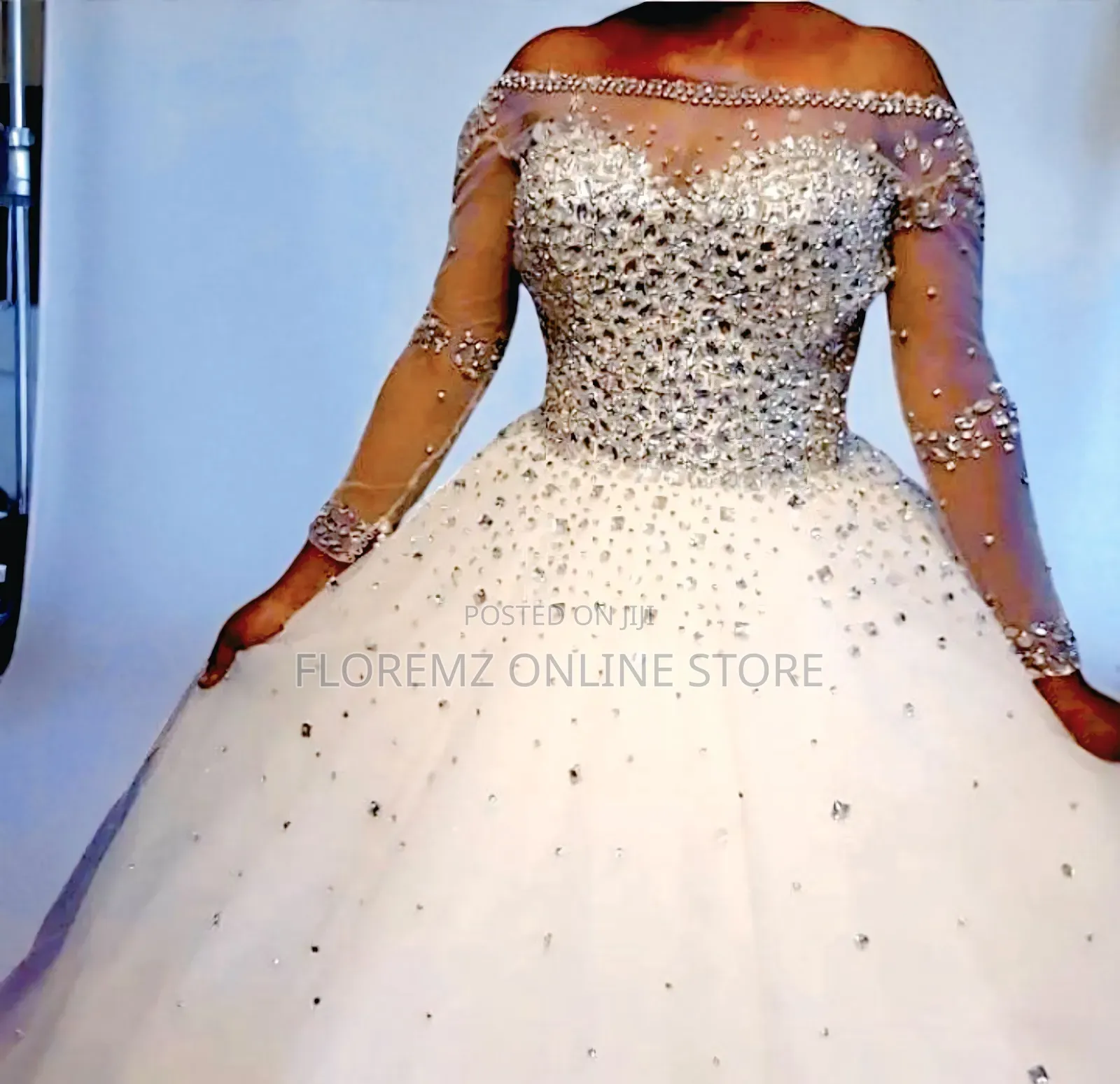 Fairytale Ball Gown Wedding Dress With Crystal-Studded Gown- Renting