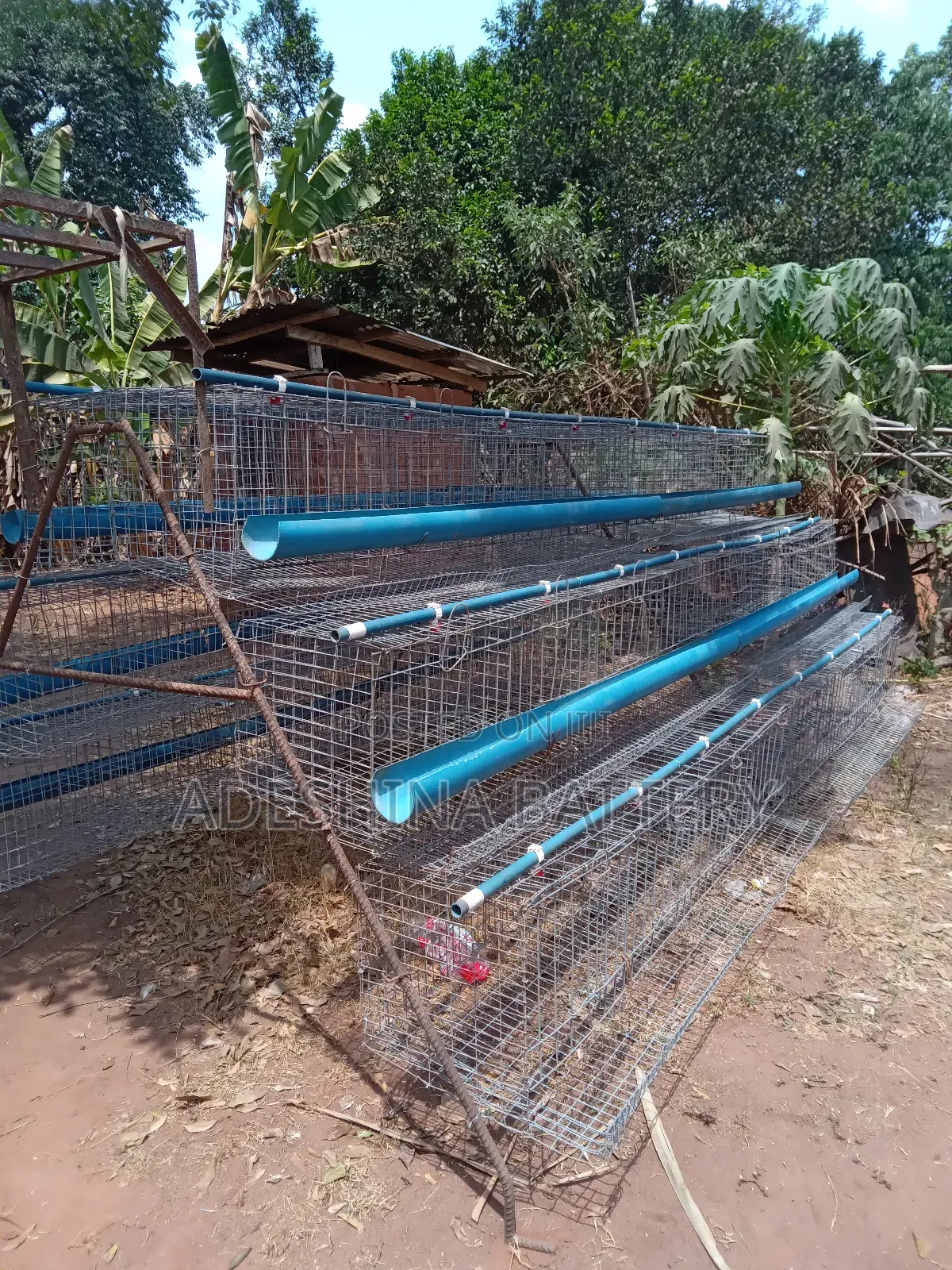 New Fabricated Local Battery Cages and Imported