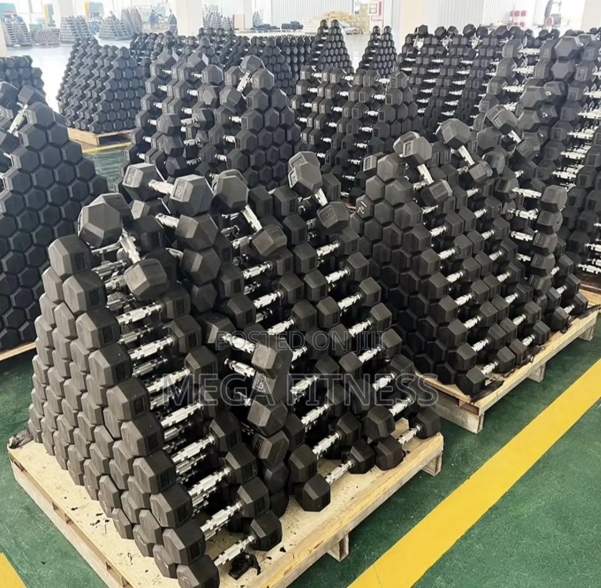 Differrent Sizes of Hex Dumbbells