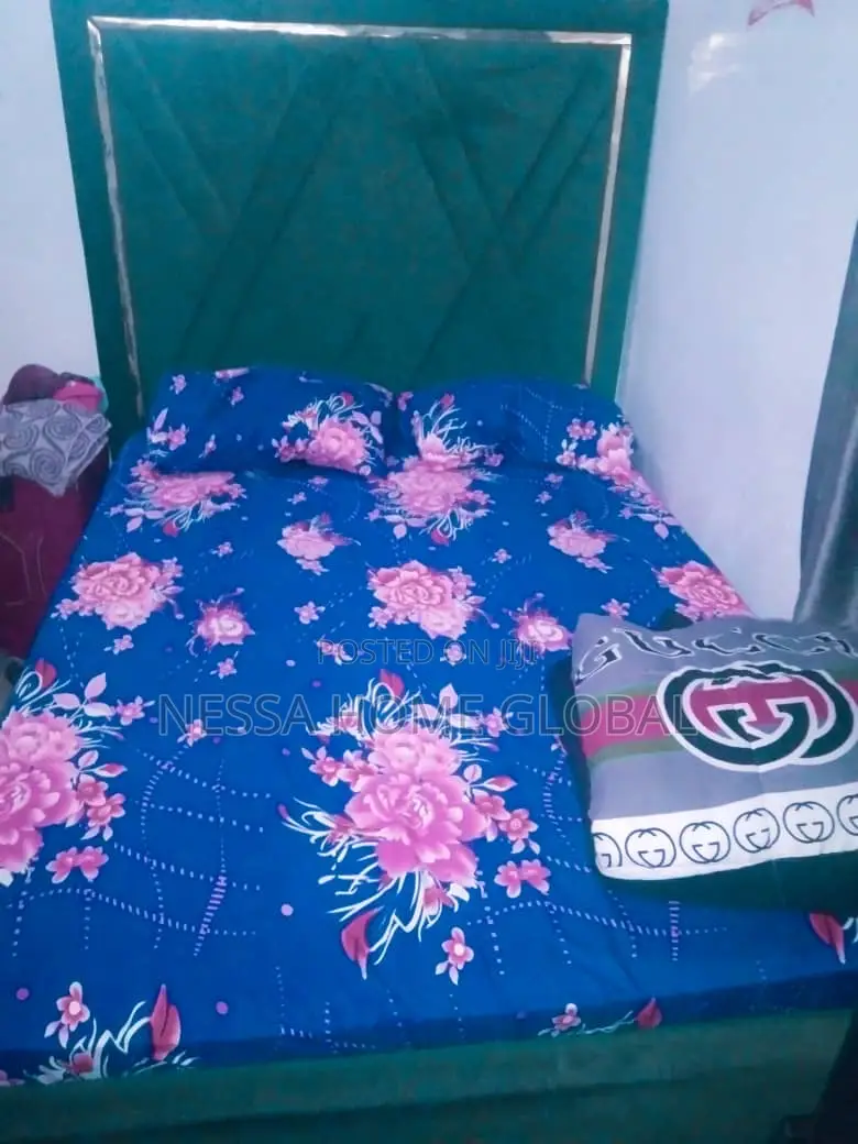 Nessa Hostel Victoria Island Oniru