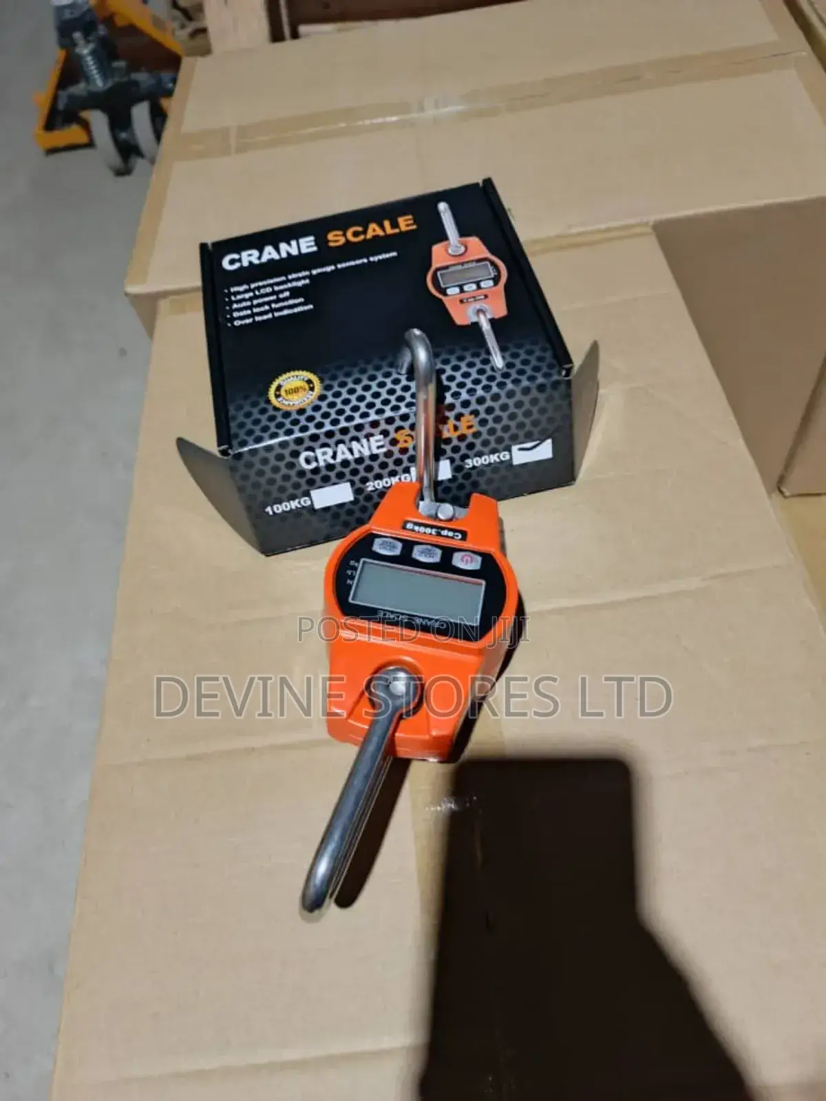 300kg Electronic Crane Scale