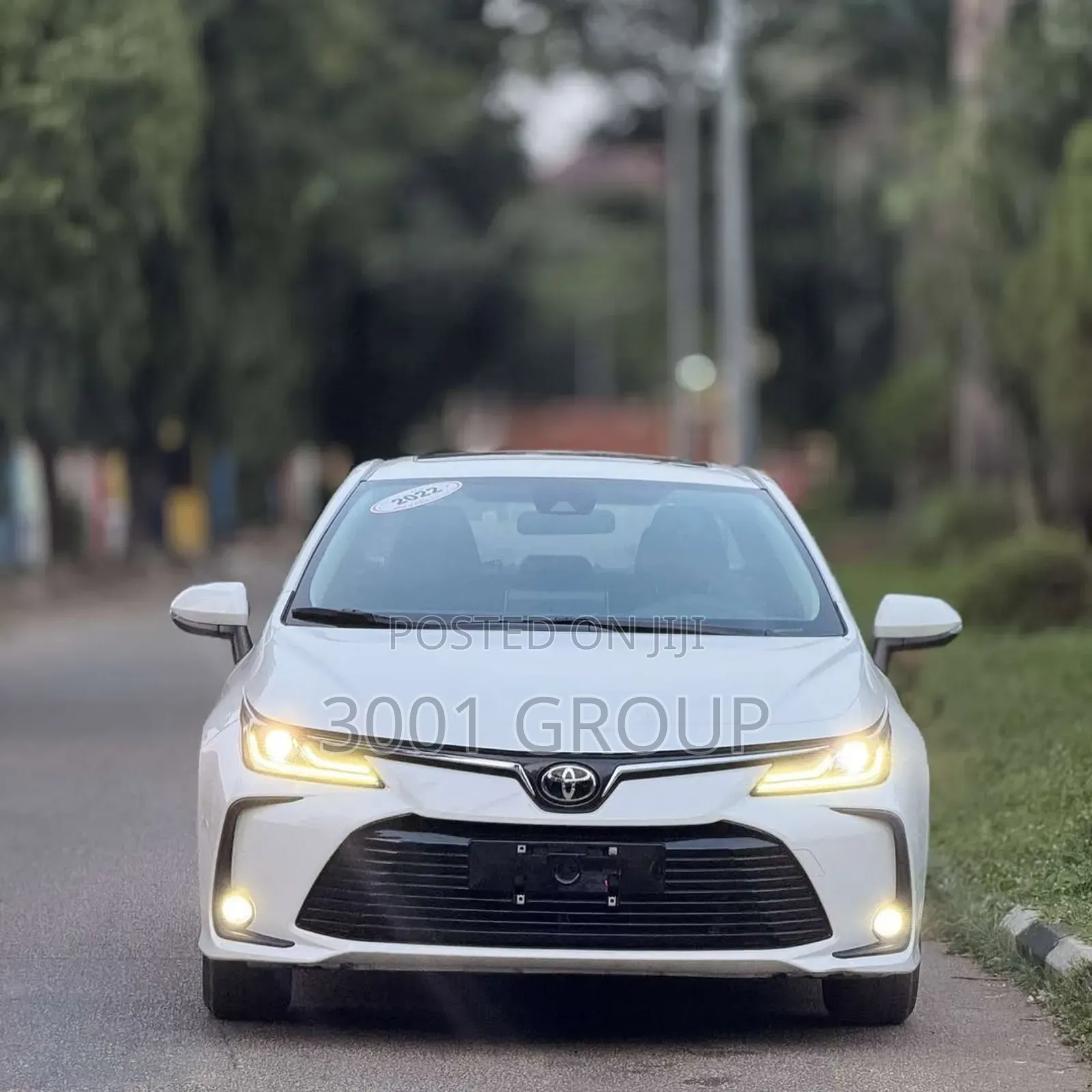 New Toyota Corolla 2023 White