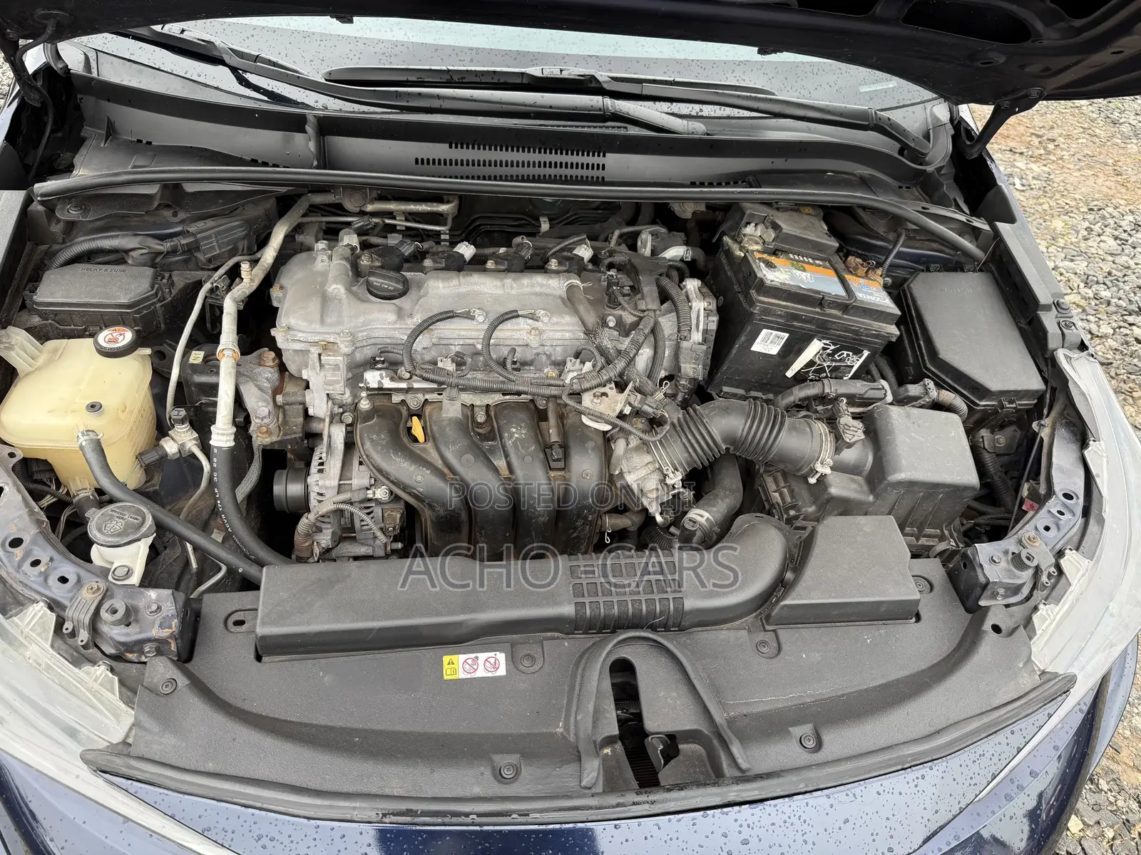 Toyota Corolla 2019 Blue