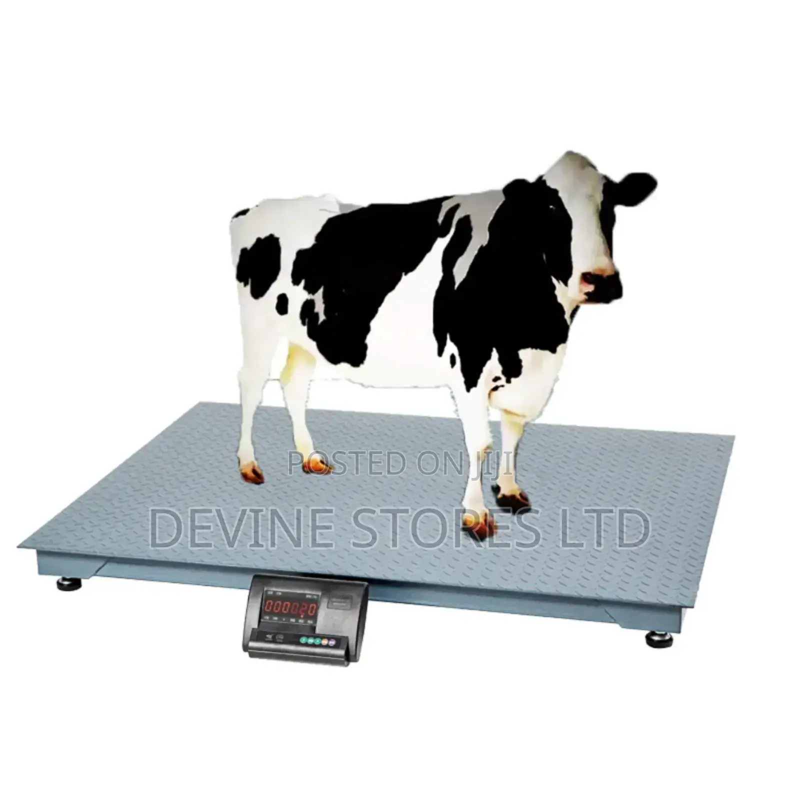 1.5mm×1.5mm (5000tons)Digital Floor Scale