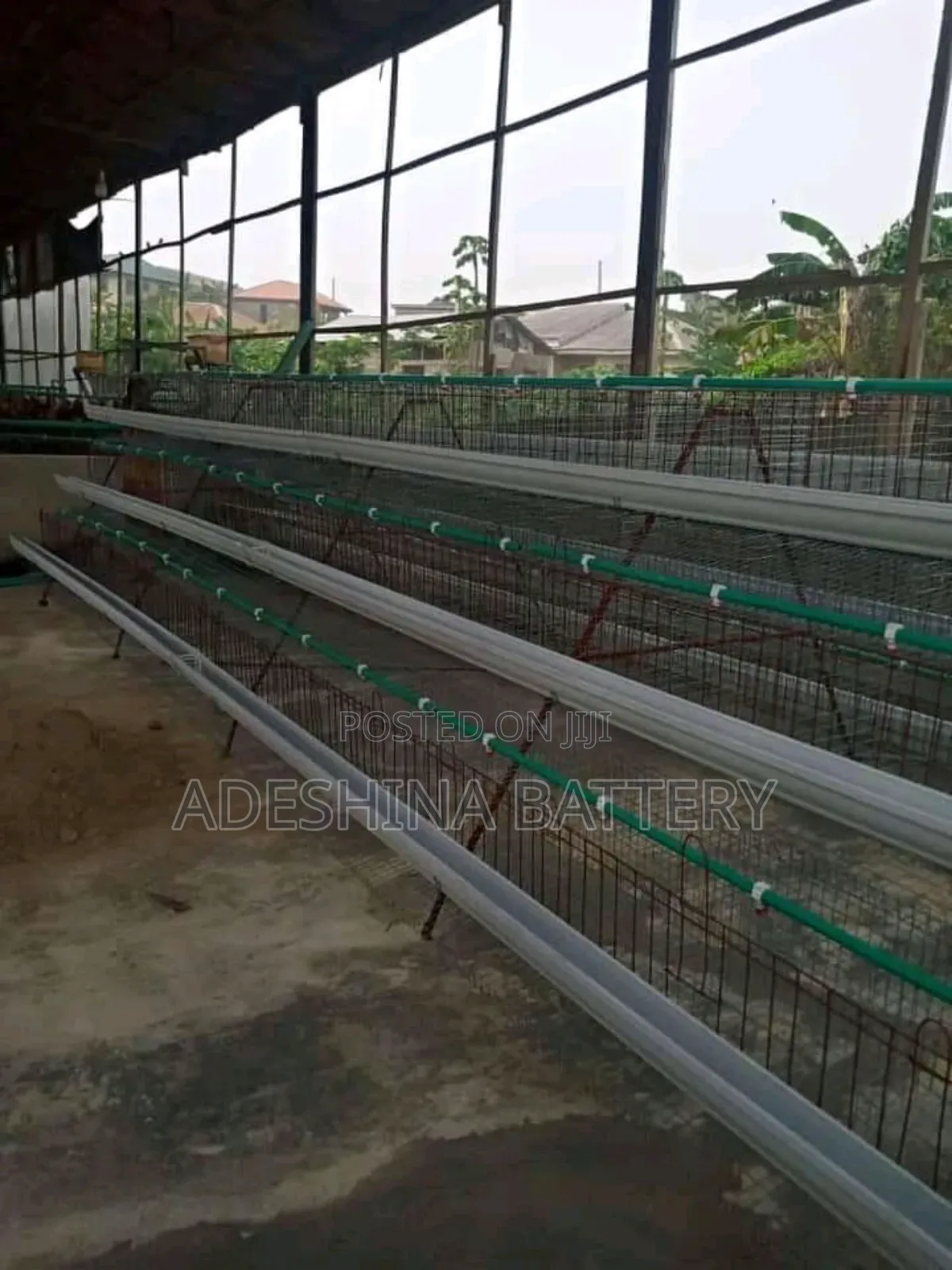 96birds and 120 Capacities of Battery Cages