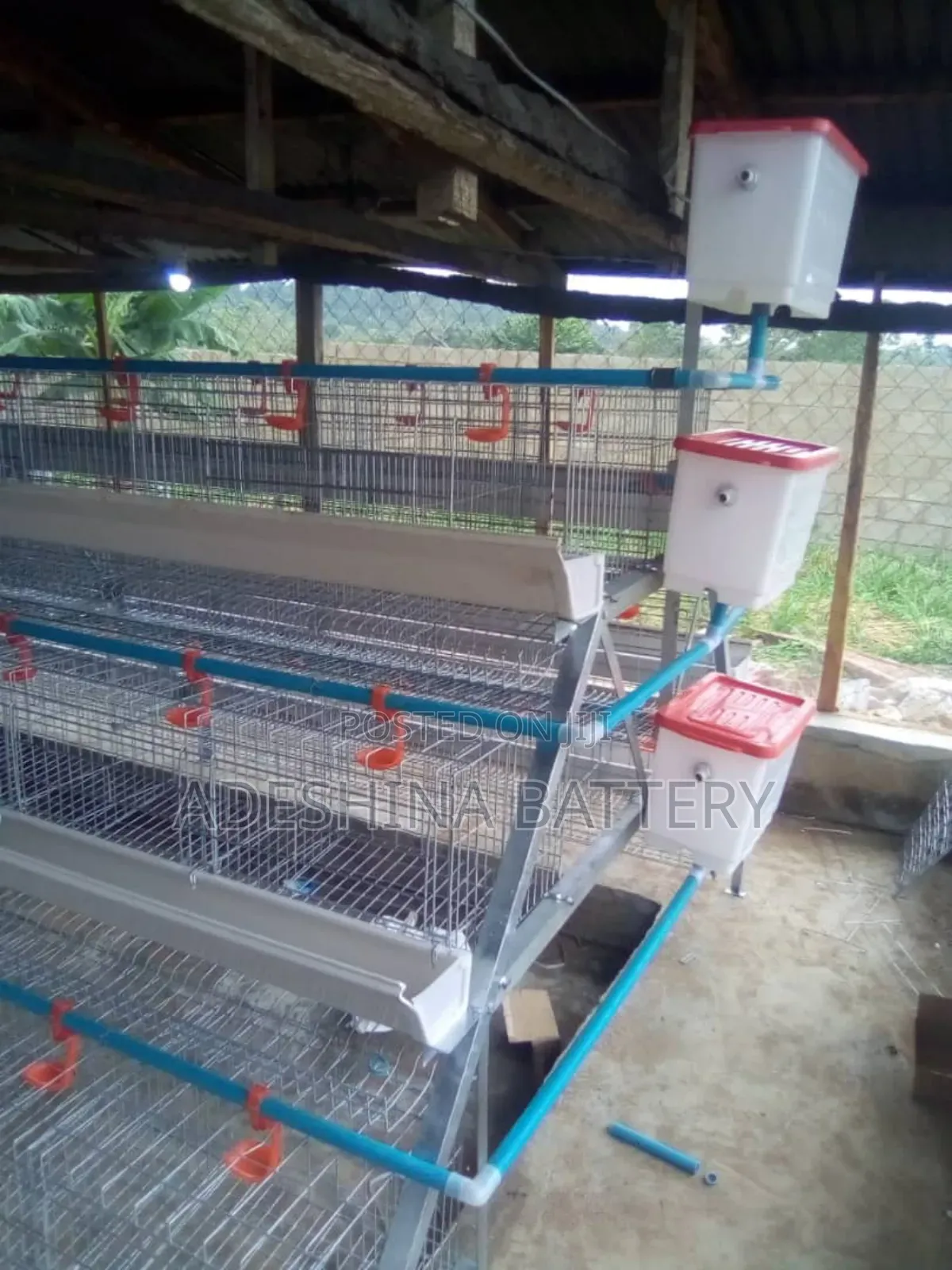 96birds and 120 Capacities of Battery Cages
