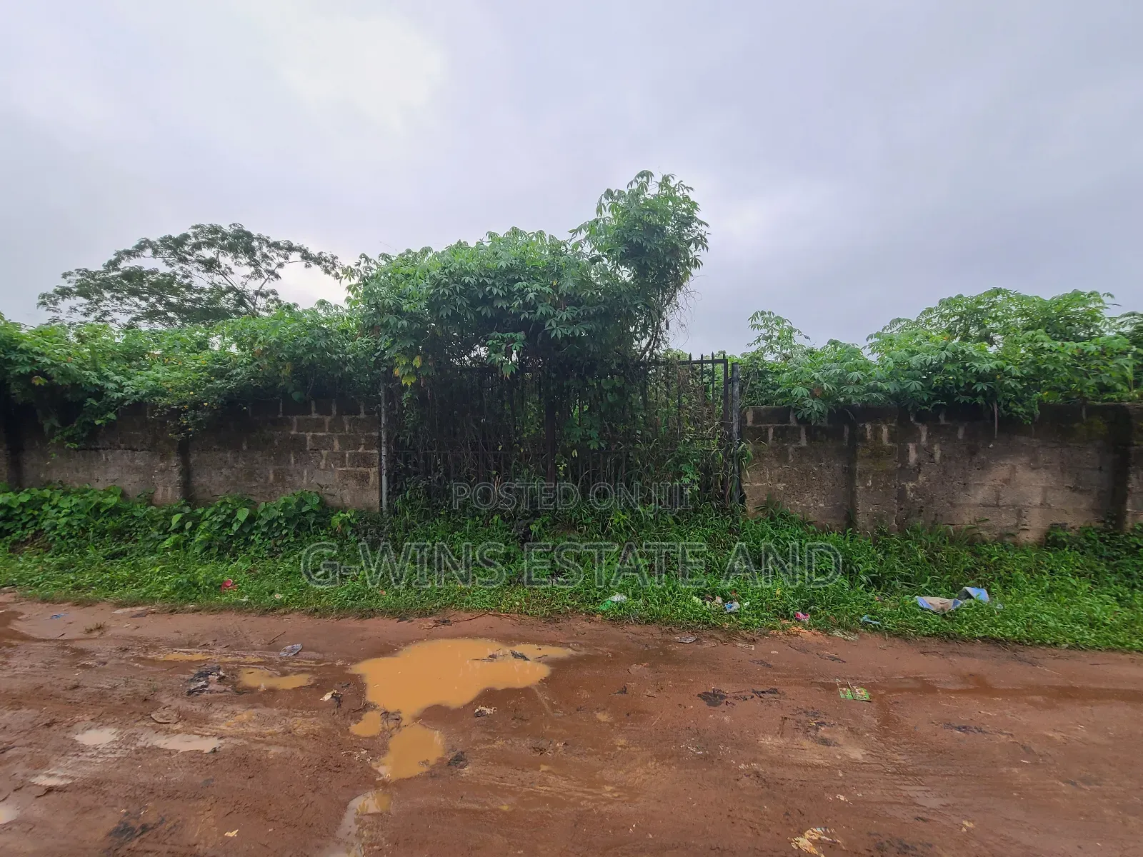 A Well Fenced and Gated 100x200ft for Sale at Egbirhi