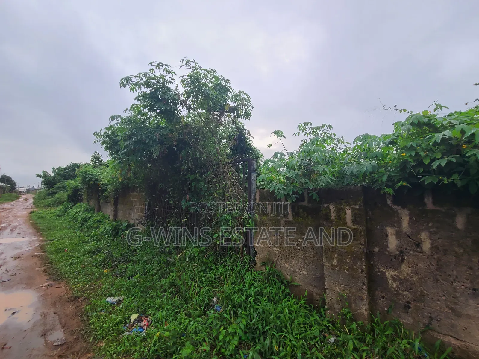 A Well Fenced and Gated 100x200ft for Sale at Egbirhi