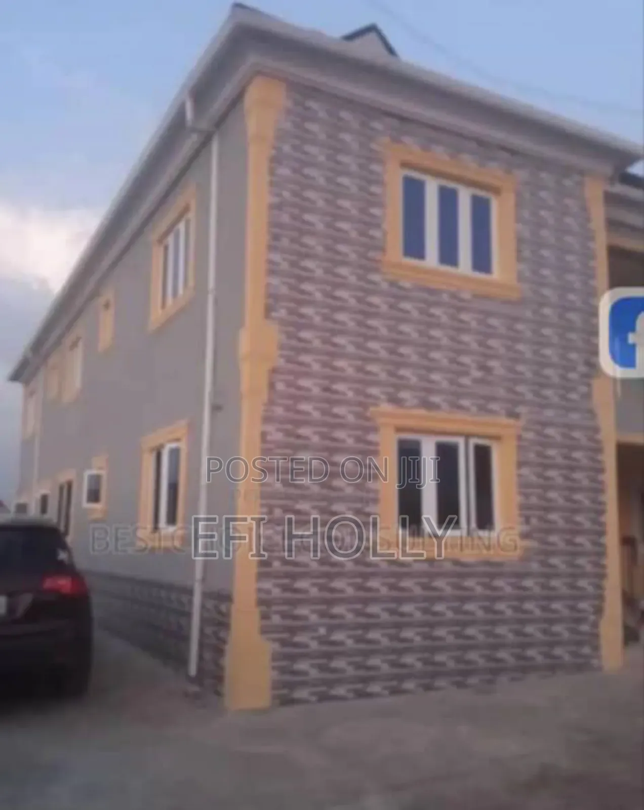 Professional Painter Screder and Paint Production