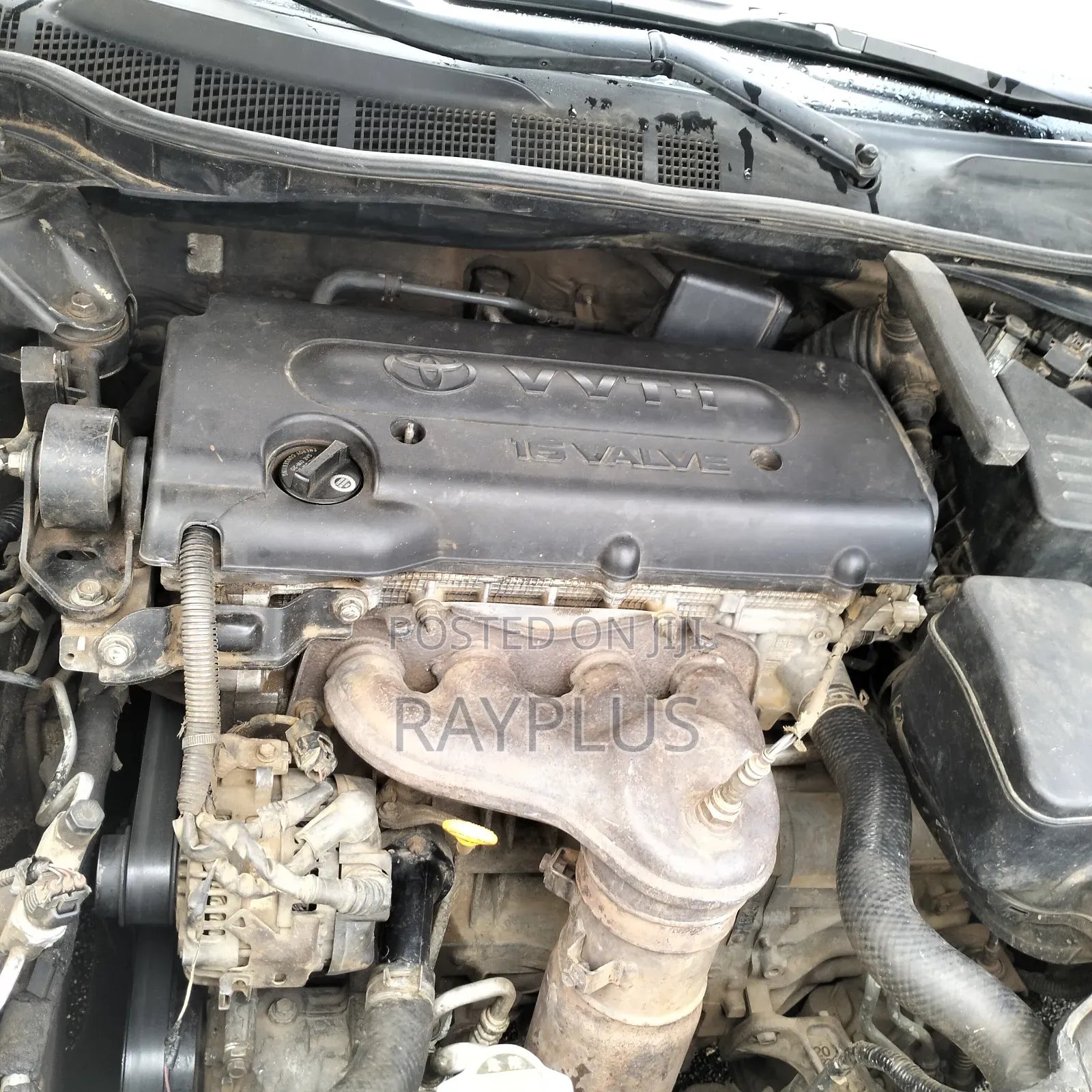 Toyota Camry 2.4 XLE 2008 Gold