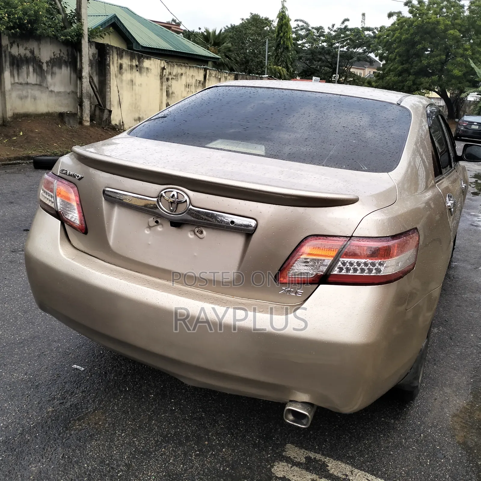 Toyota Camry 2.4 XLE 2008 Gold