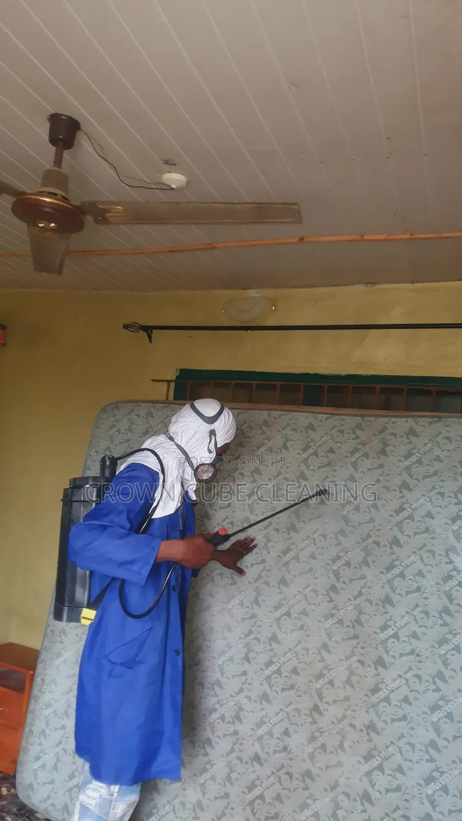 Best Fumigation and Bedbugs Treatment