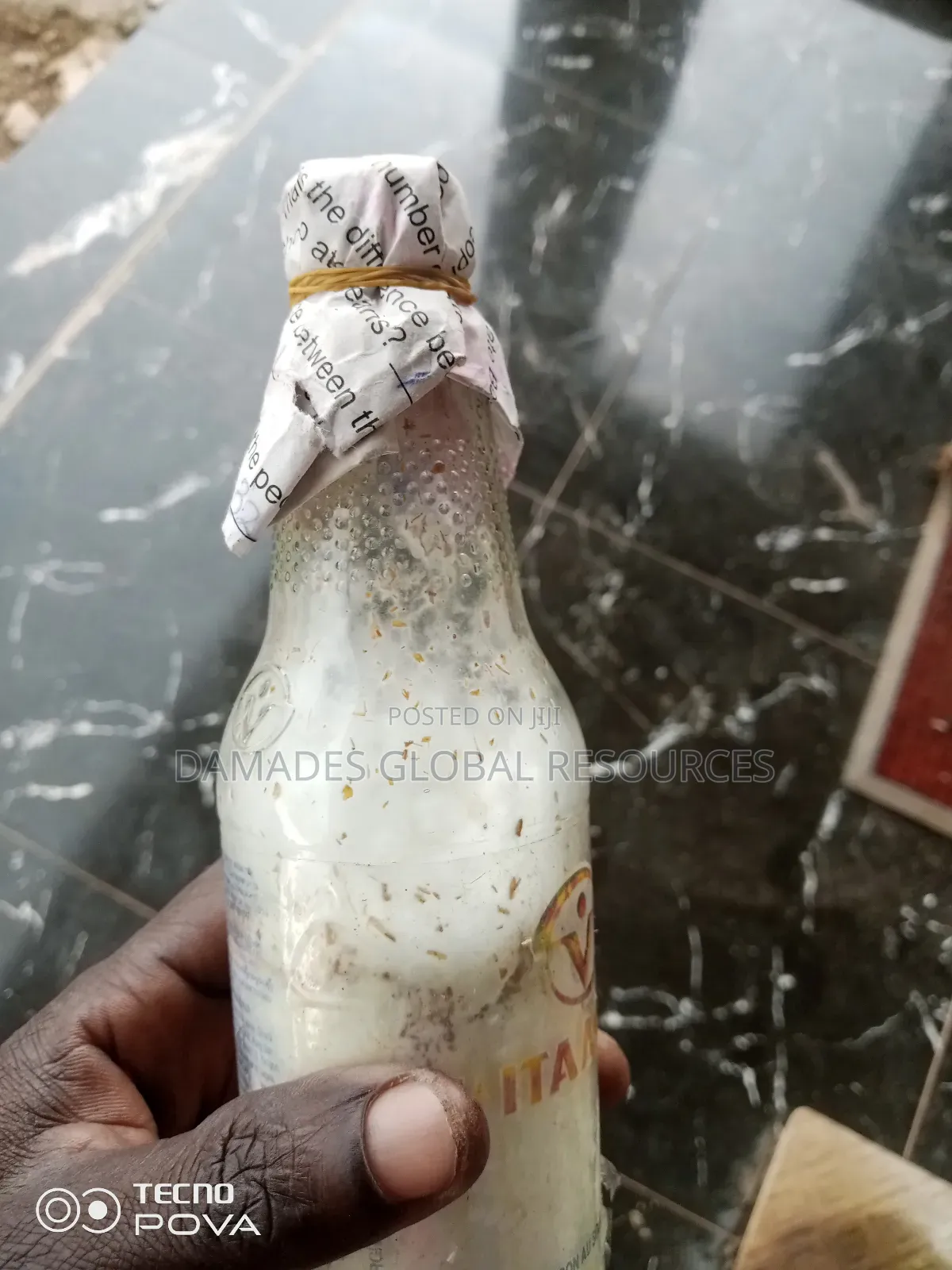 Oyster Mushroom(Spawn) Seeds