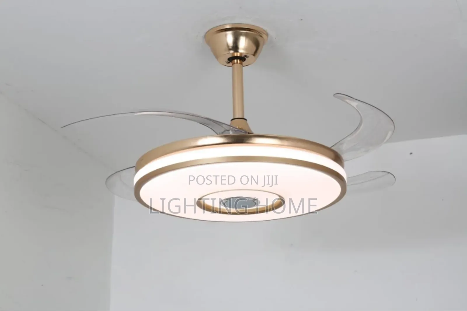 Fan Chandelier Light