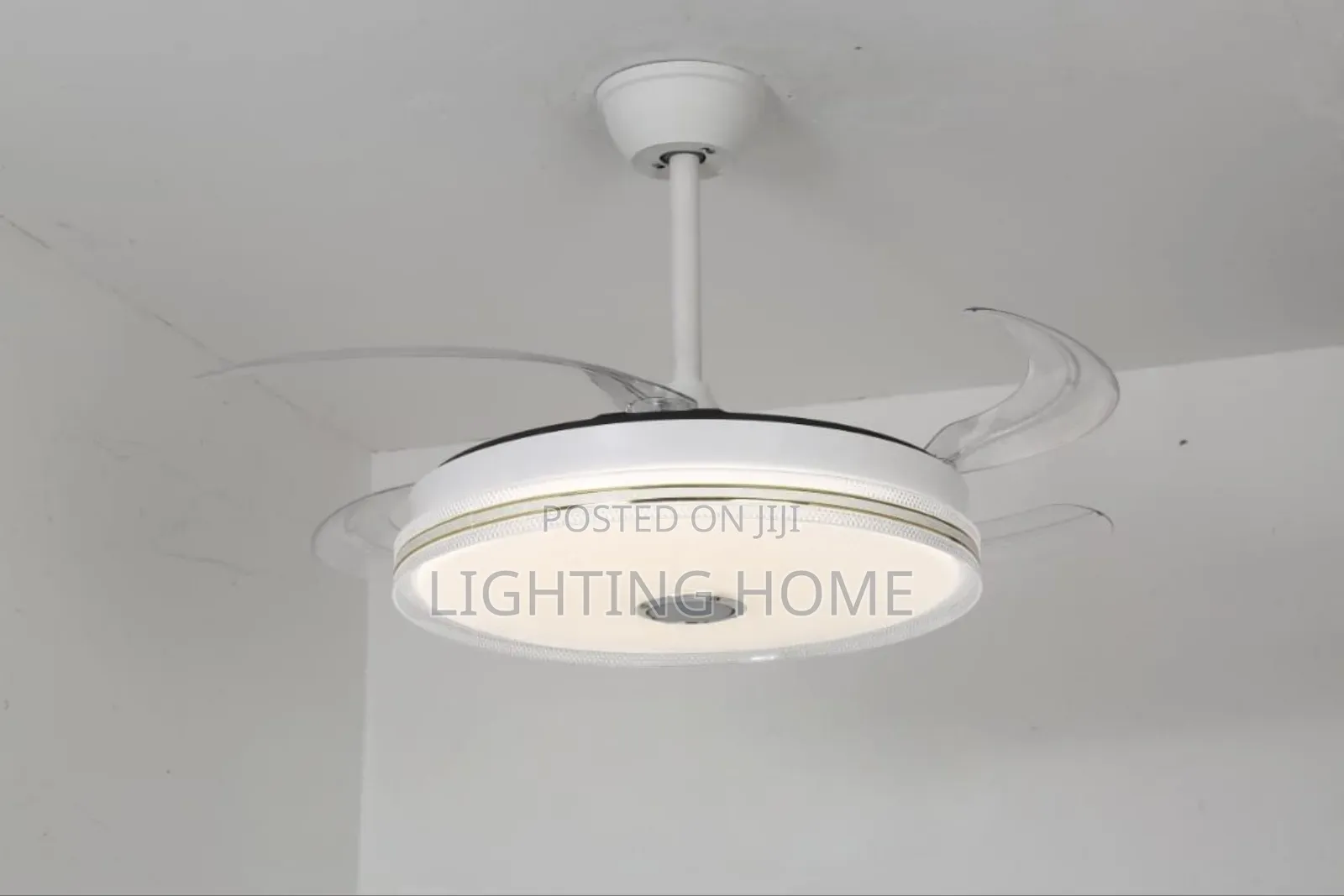 Fan Chandelier Light