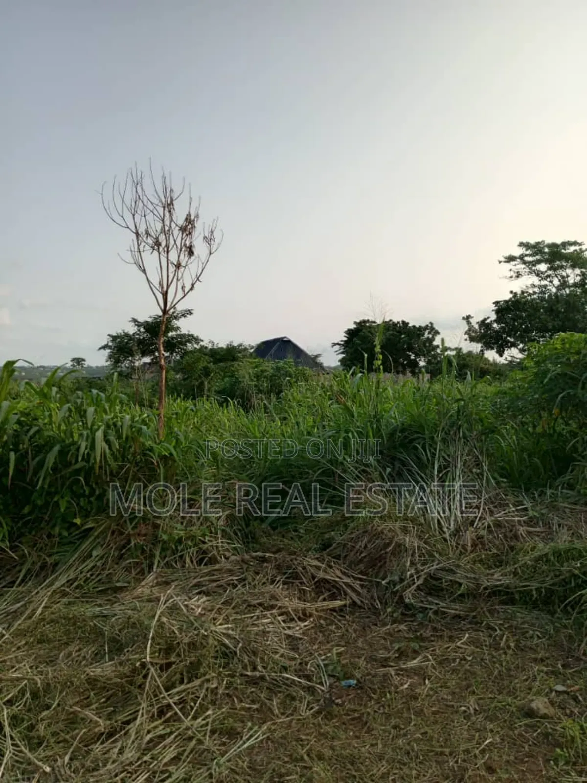 A Plot of Land Anifowose Ikeja Close to Airport