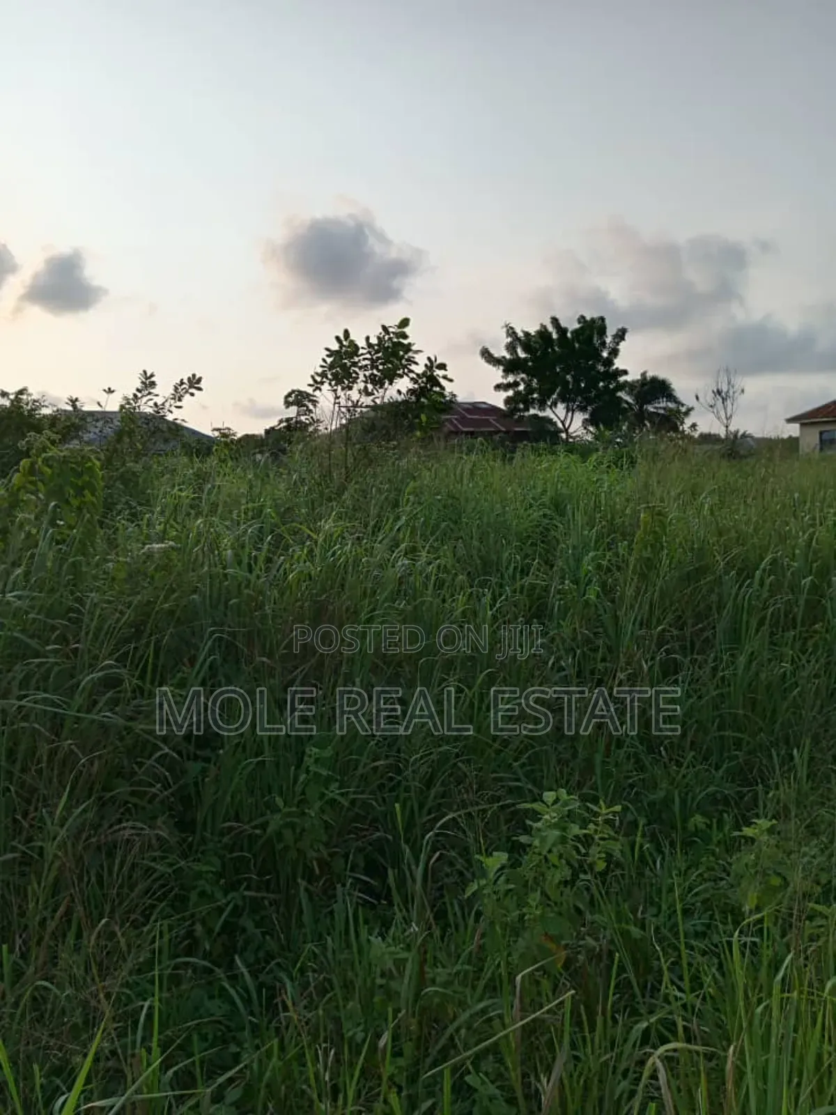 700sqm Demolishable Obasa Estate Oba Akran Ikeja Lagos
