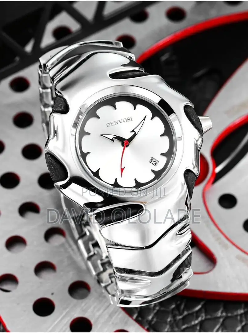 Denvosi Ceramic Steel Watch