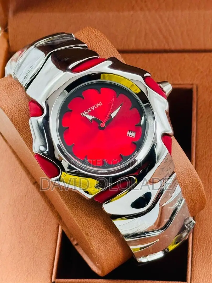 Denvosi Ceramic Steel Watch