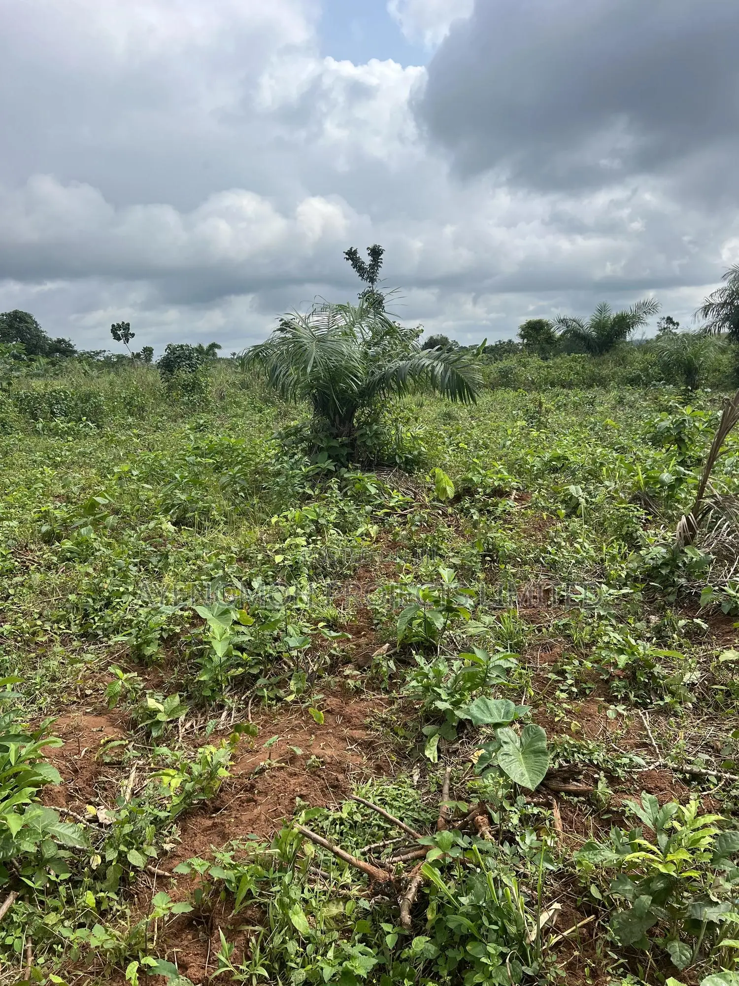 1 Acre of Farmland for Sale