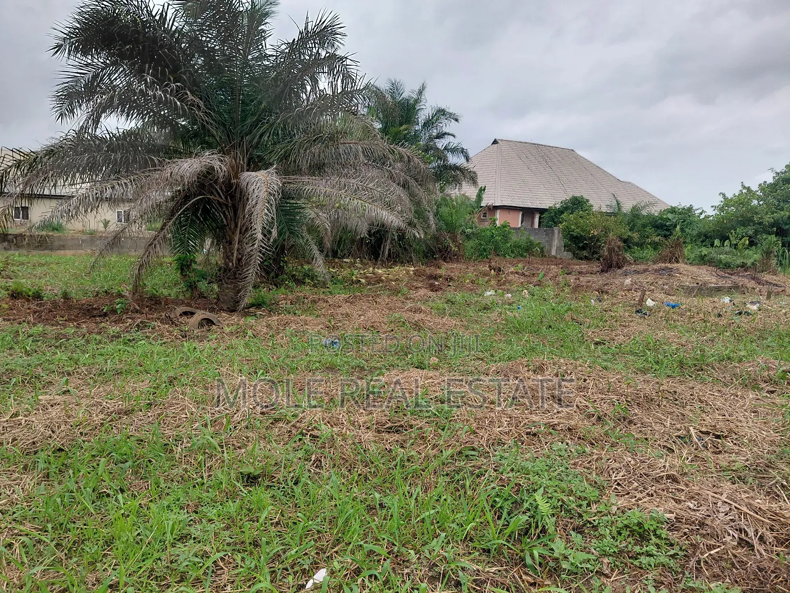 2 Plots of Land Facing Ikotun Roundabout Eco Bamk Carpark