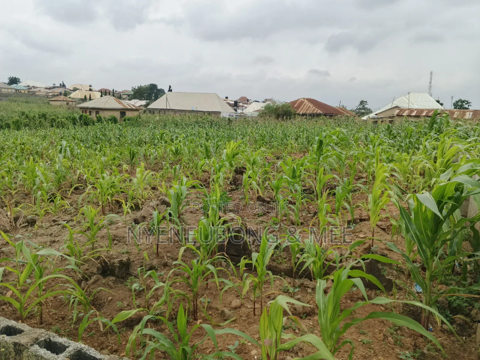 2bdrm Bungalow in Karu for sale