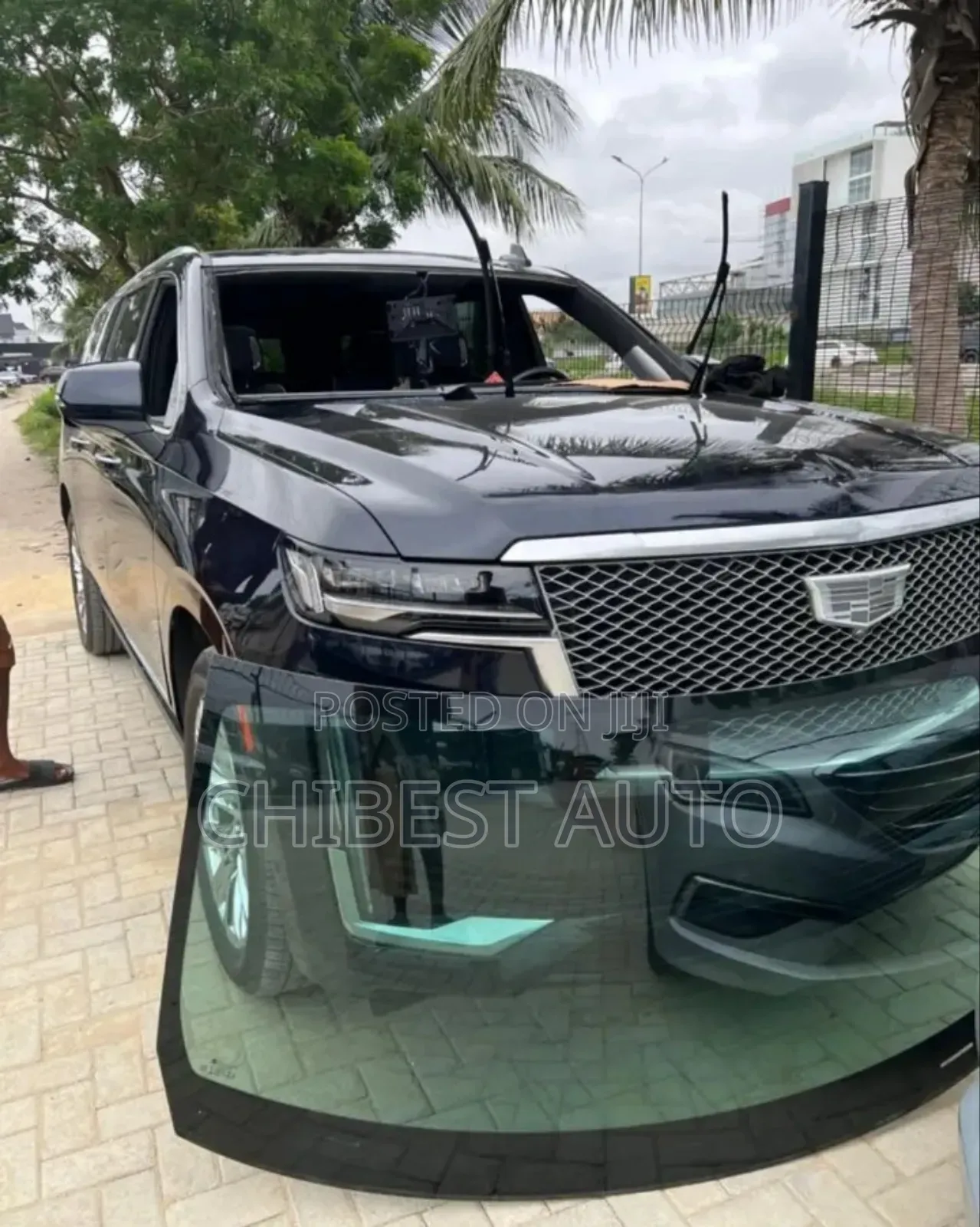 Your Front Windscreen for Cadillac Escalade 2023 Available Now