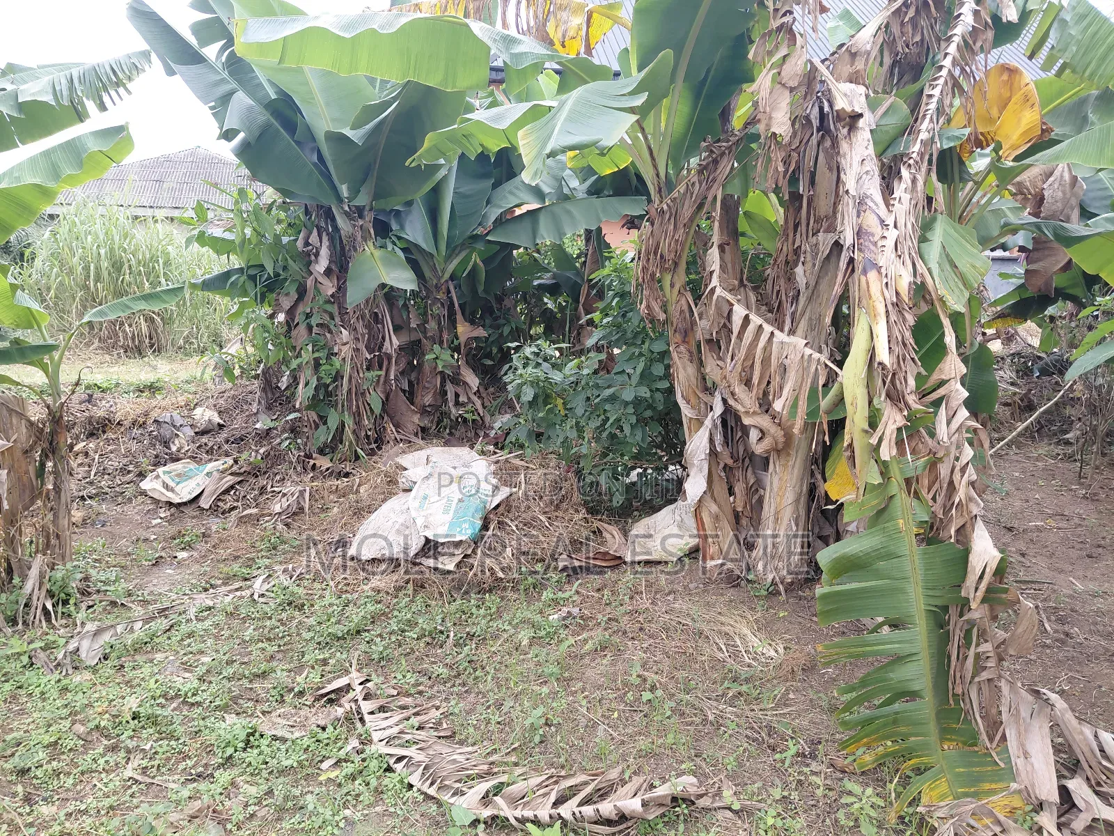 800sqm Plot With a Warehouse Mass Burial Okeafar Isolo Ejigbo Rd