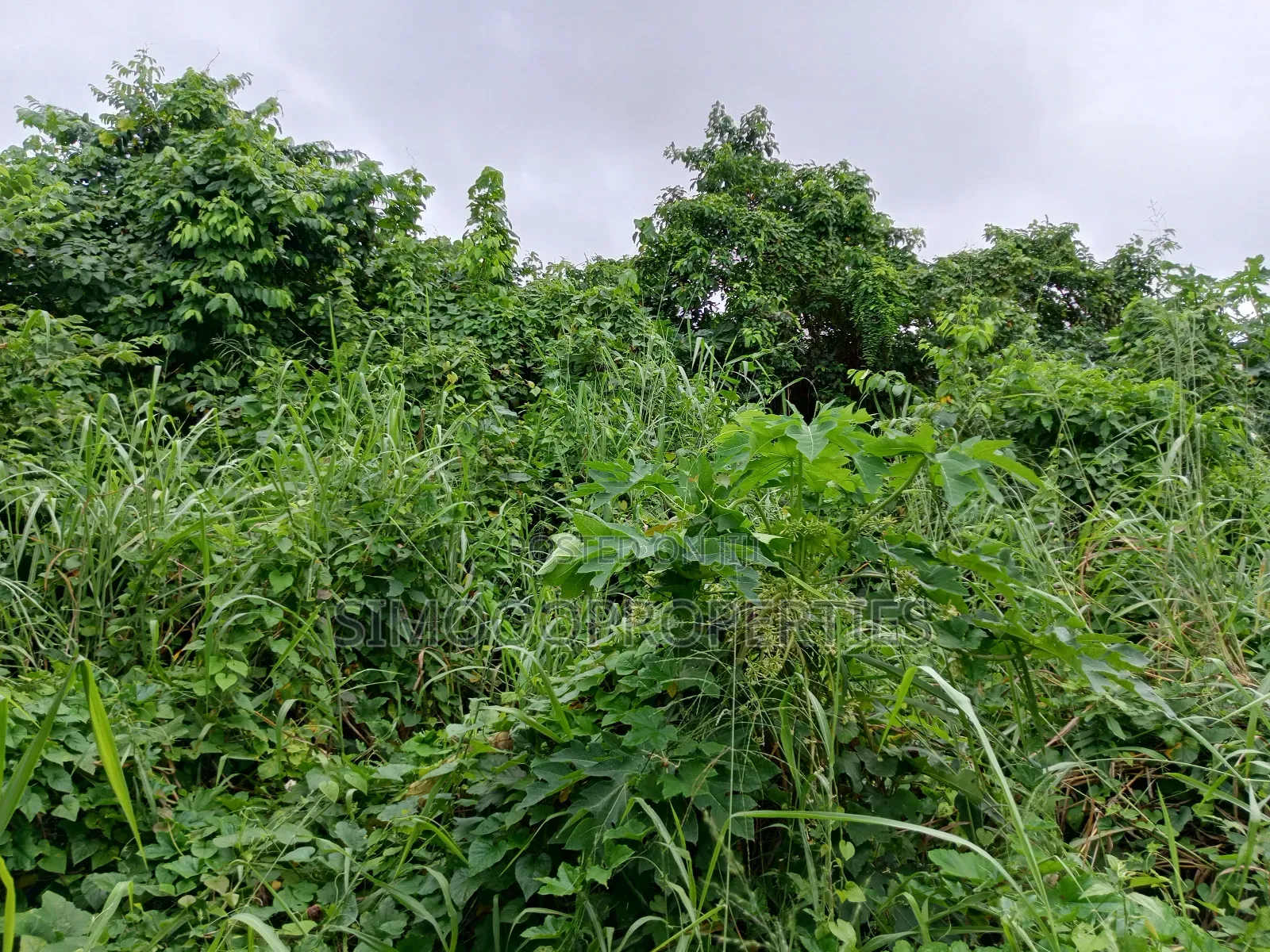A Plot of Corner Piece Land Beside Ogunfayo Palace for Sale