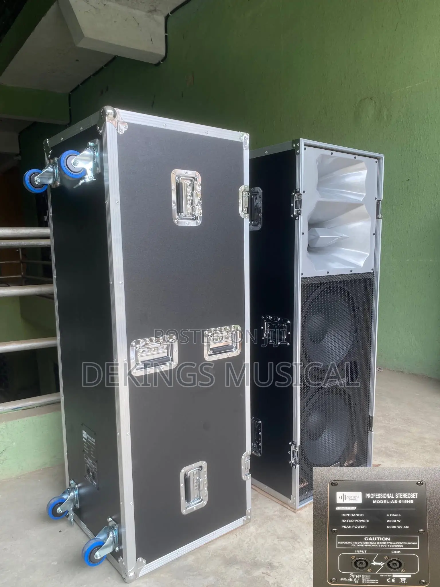 Ariz Sound As915hb 5000 Watts Professional Loudspeaker