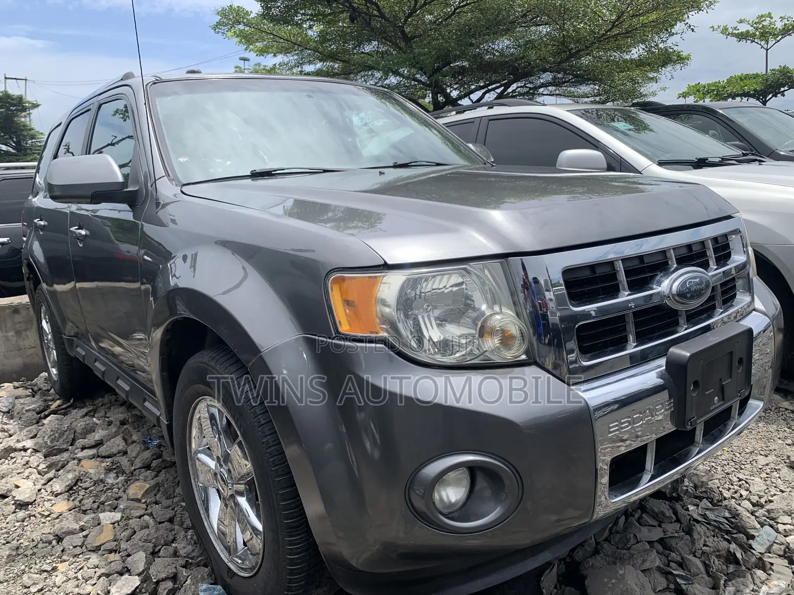 Ford Escape Limited 2010 Gray