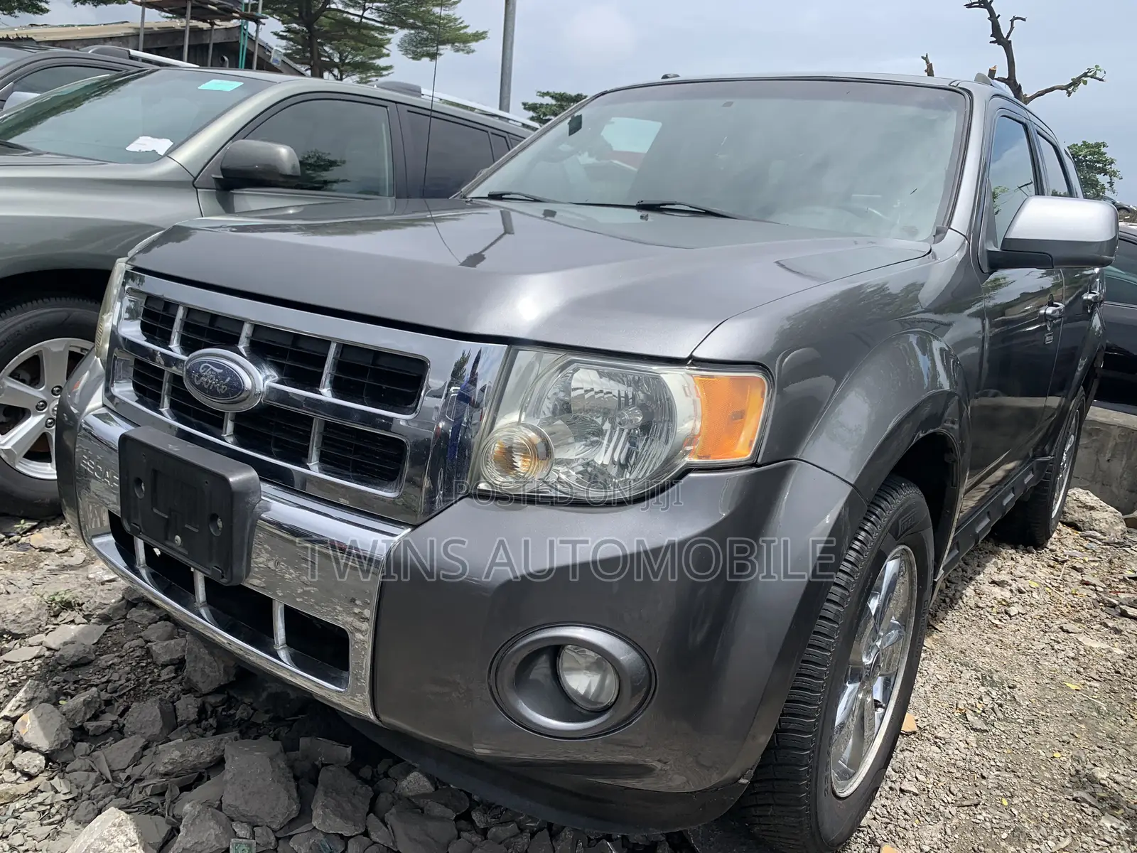 Ford Escape Limited 2010 Gray
