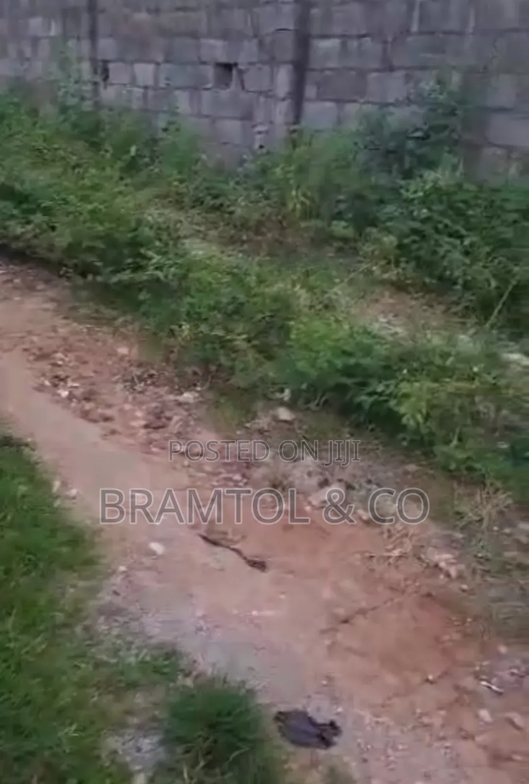 6300sqm Commercial Plot Cofo