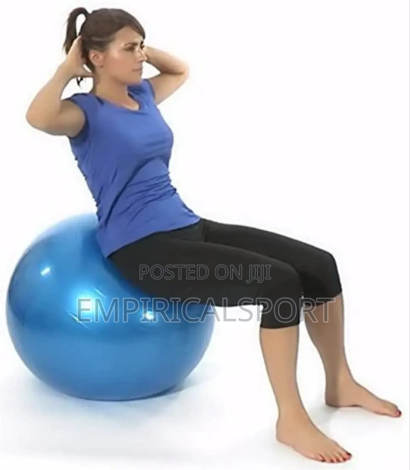 Gym Ball Exerciser